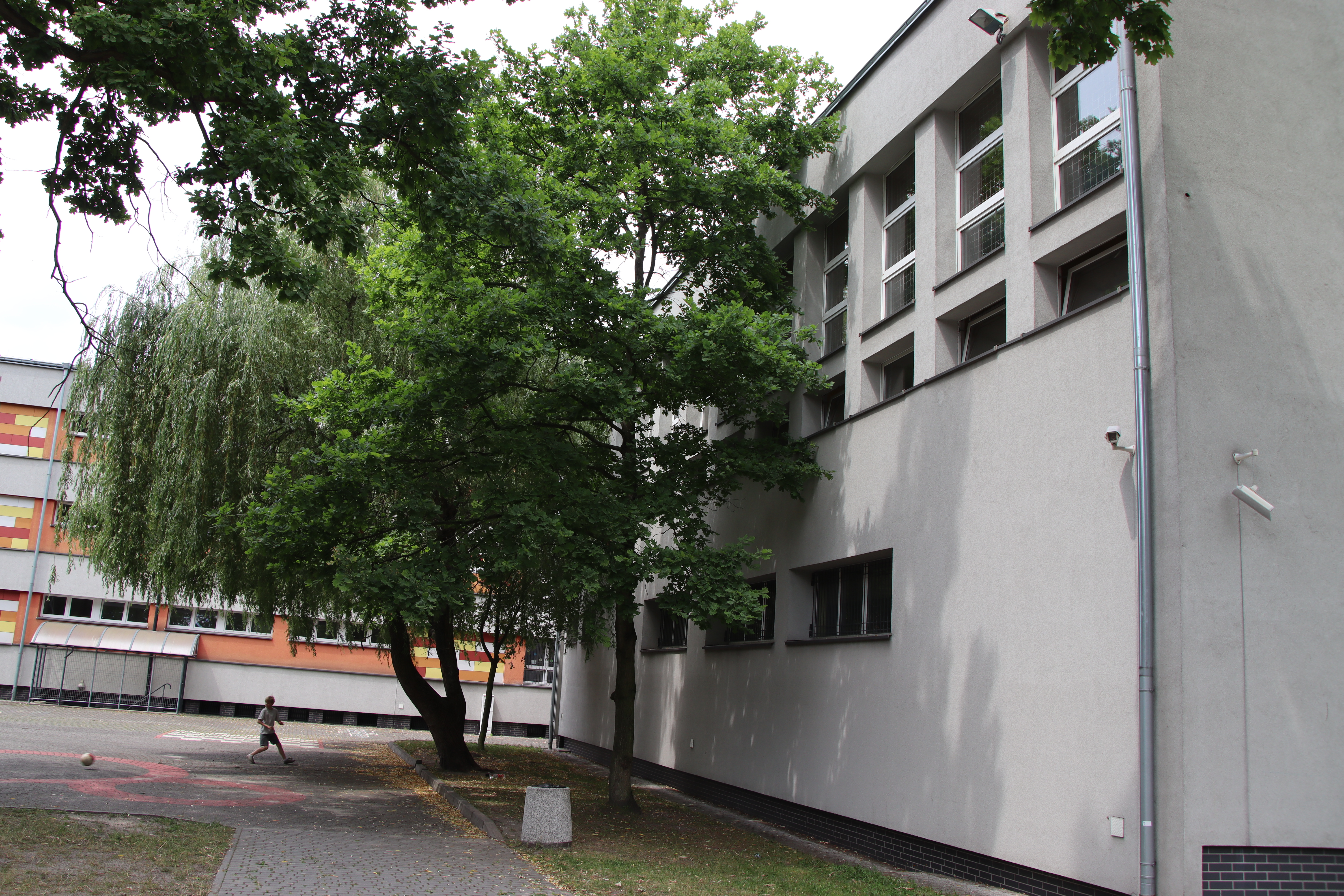 źródło: ZSP nr 9 Sala gimnastyczna przy ZSP nr 9