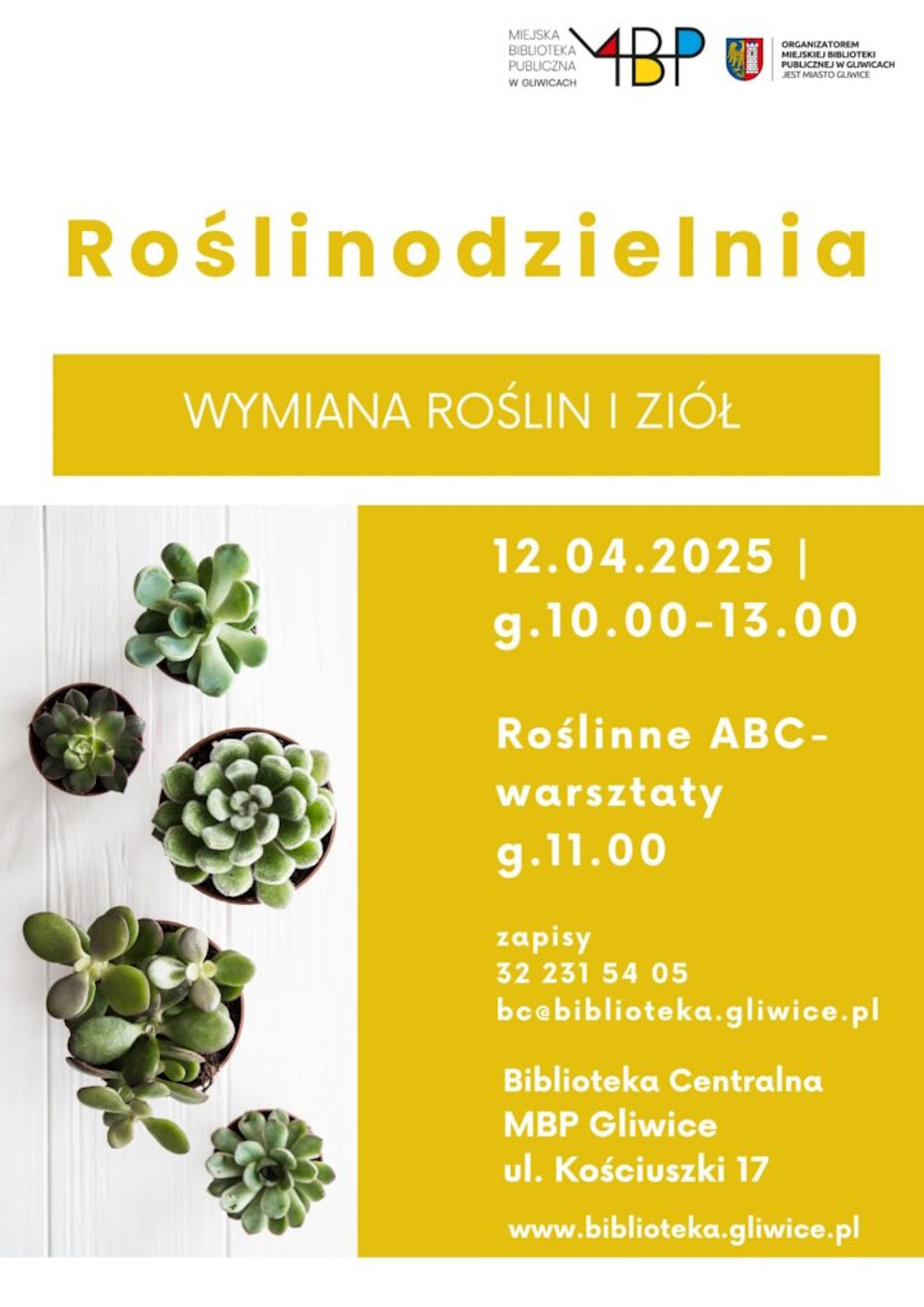 grafika