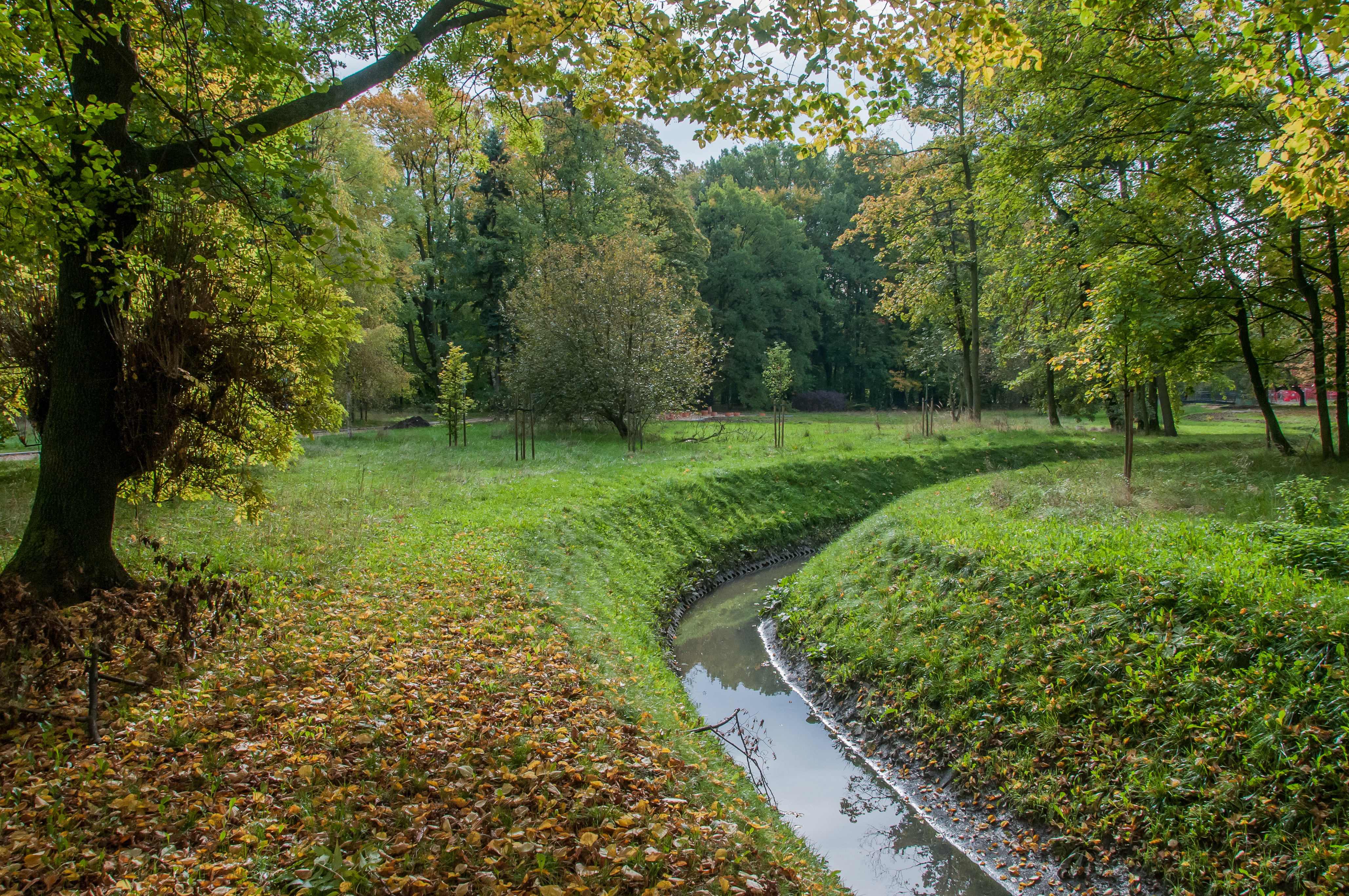 Chrobry-Park