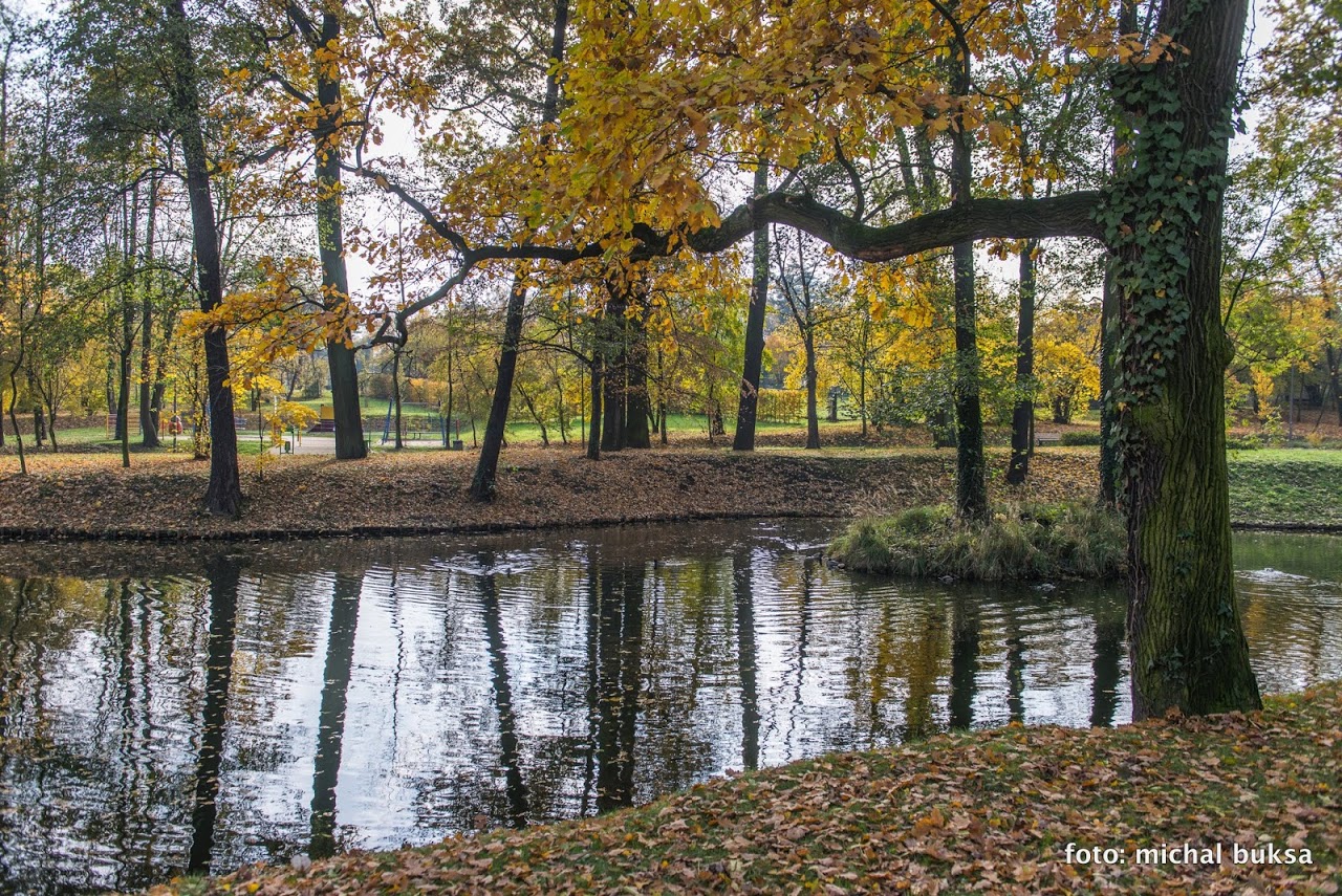 Parc Szwajcaria