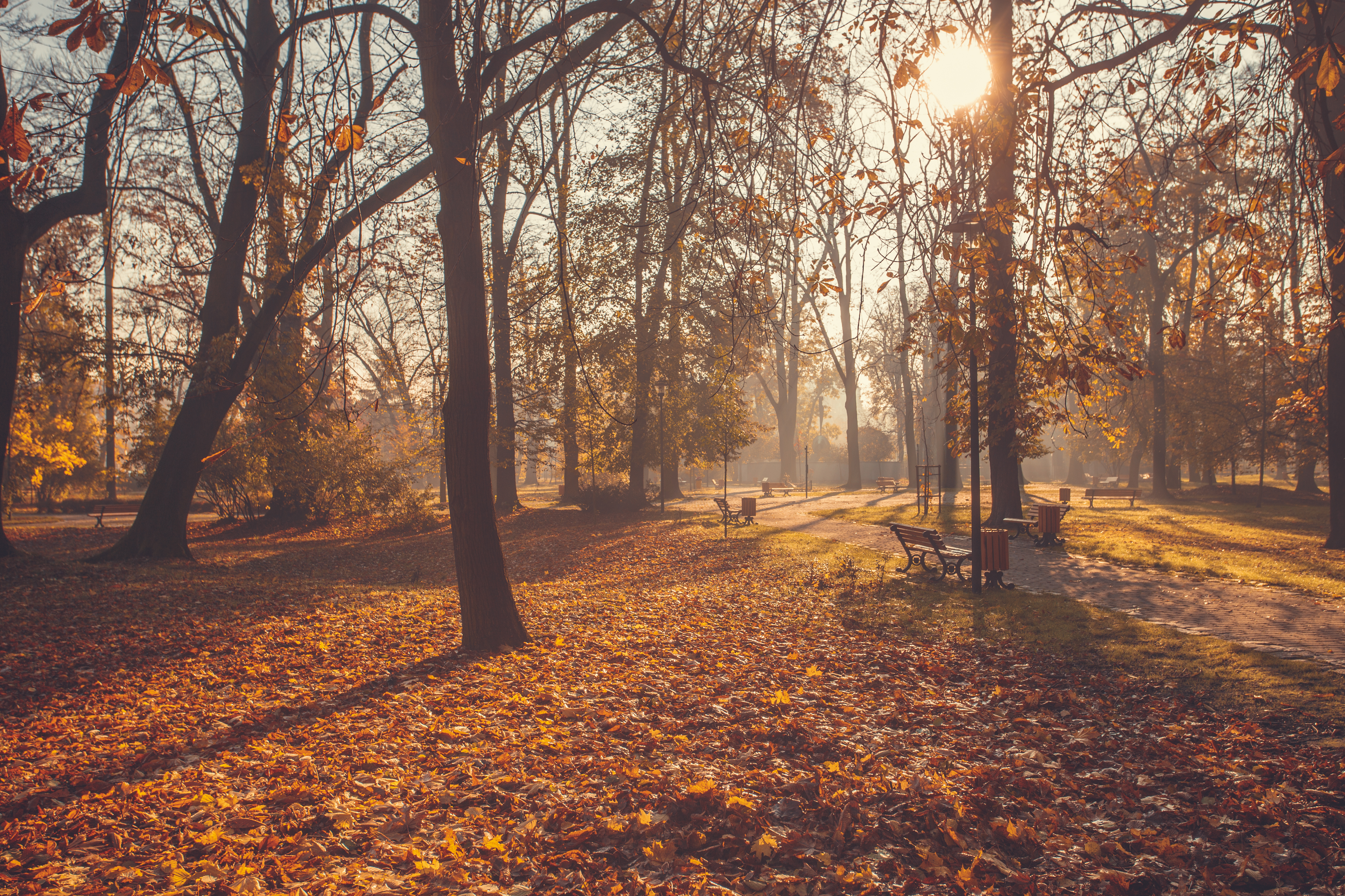 Parc de Frédéric Chopin