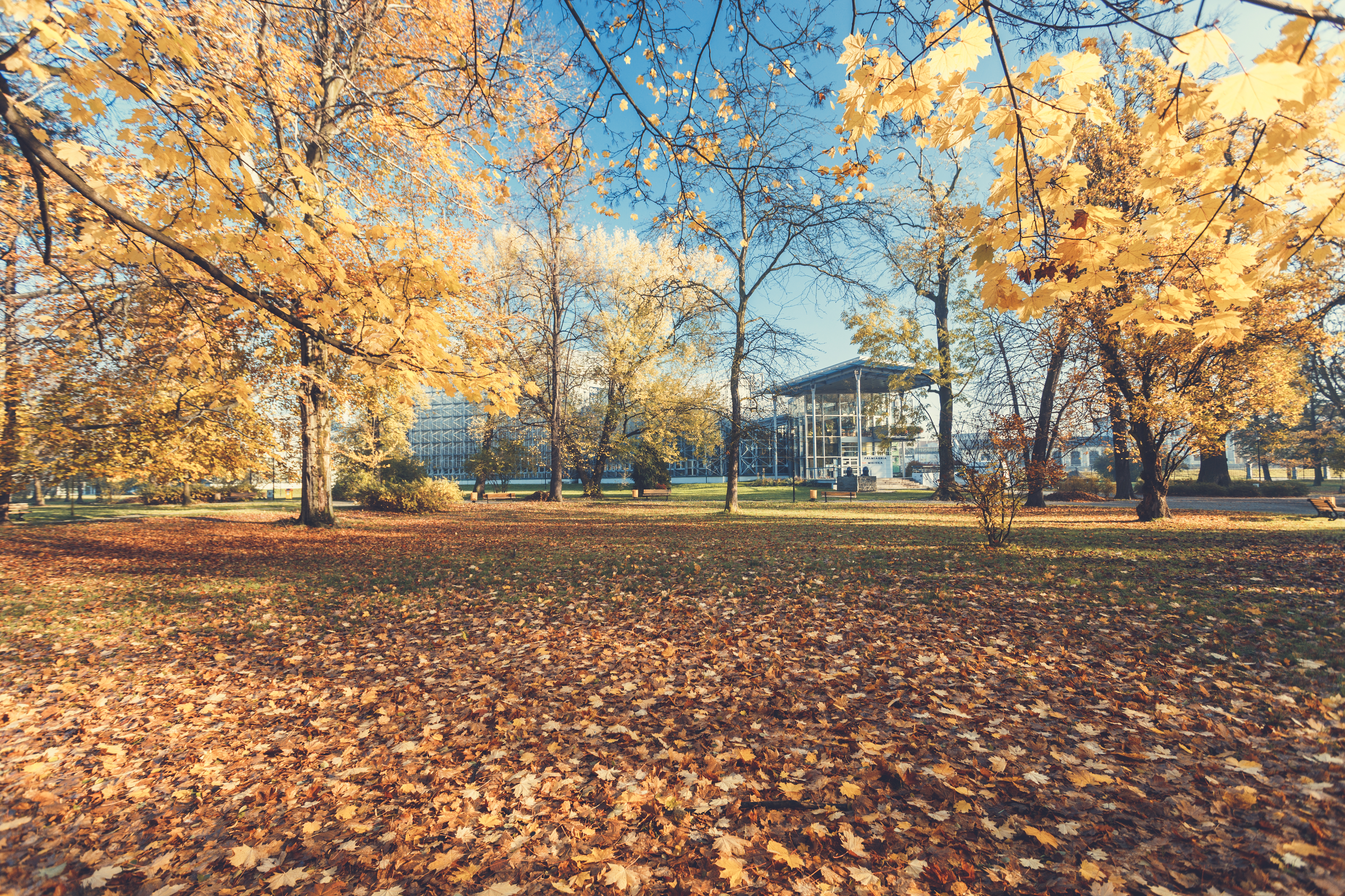 Parc de Frédéric Chopin