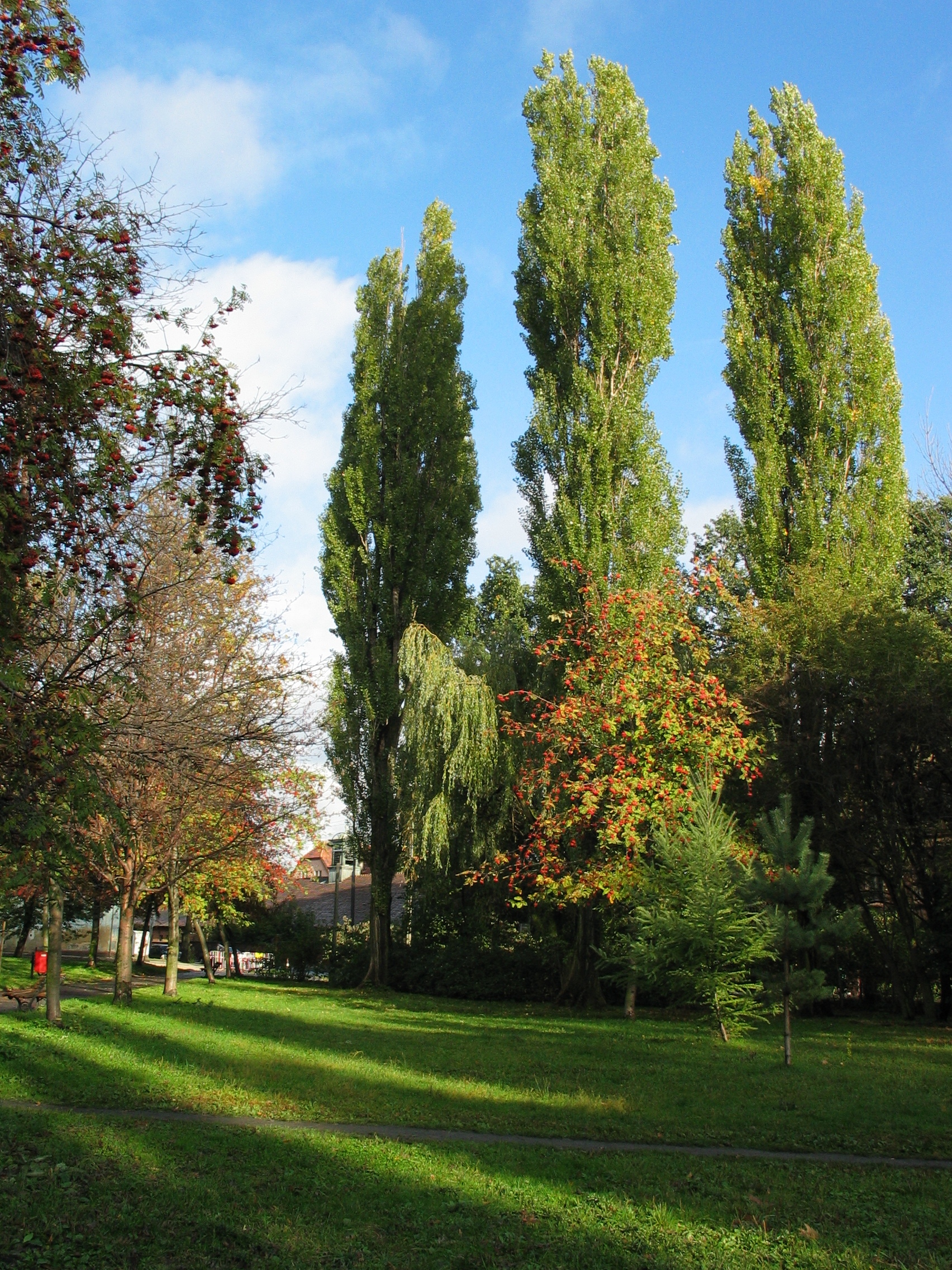 Place Grunwaldzki