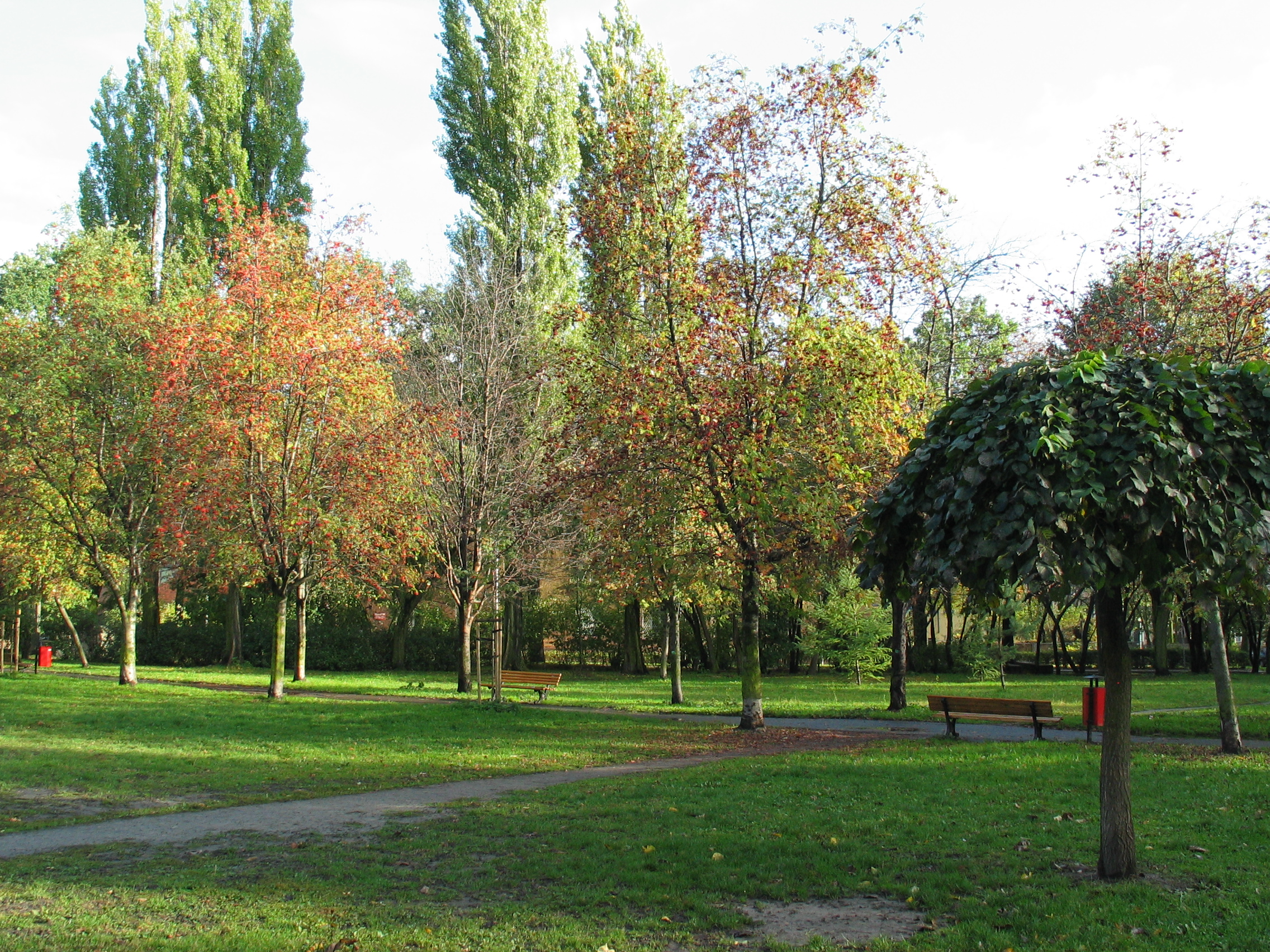 Grunwaldzki Square