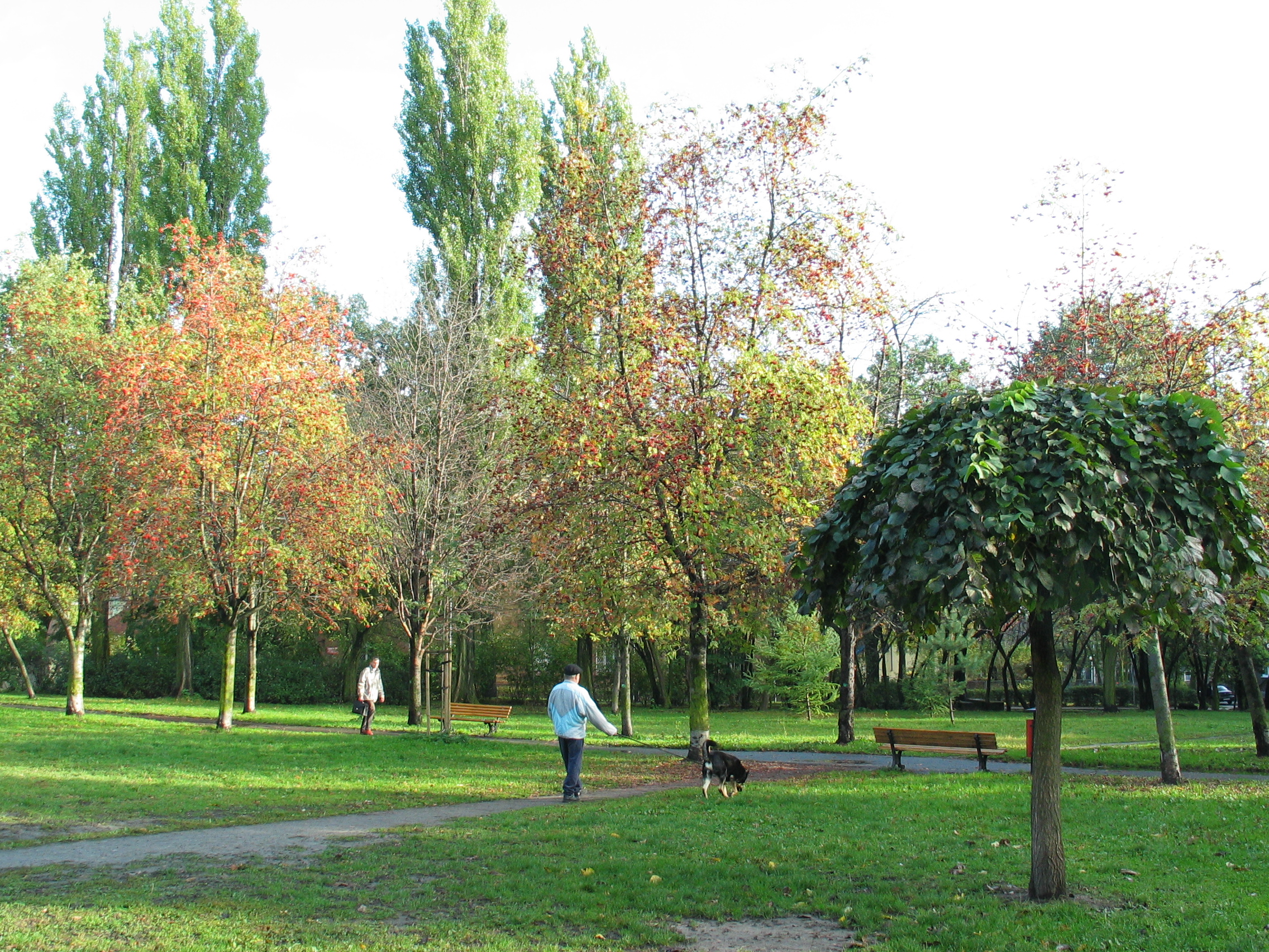 Grunwaldzki Square