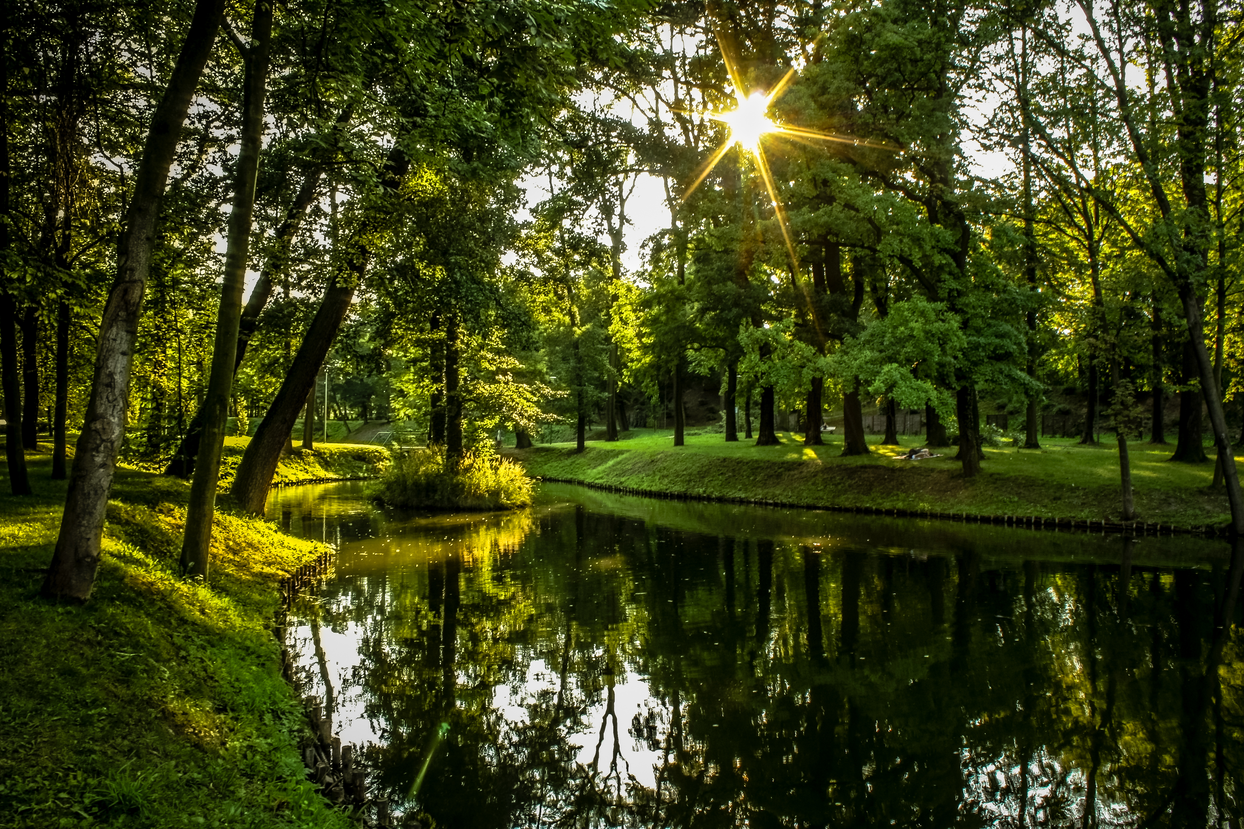 Парк Швейцария