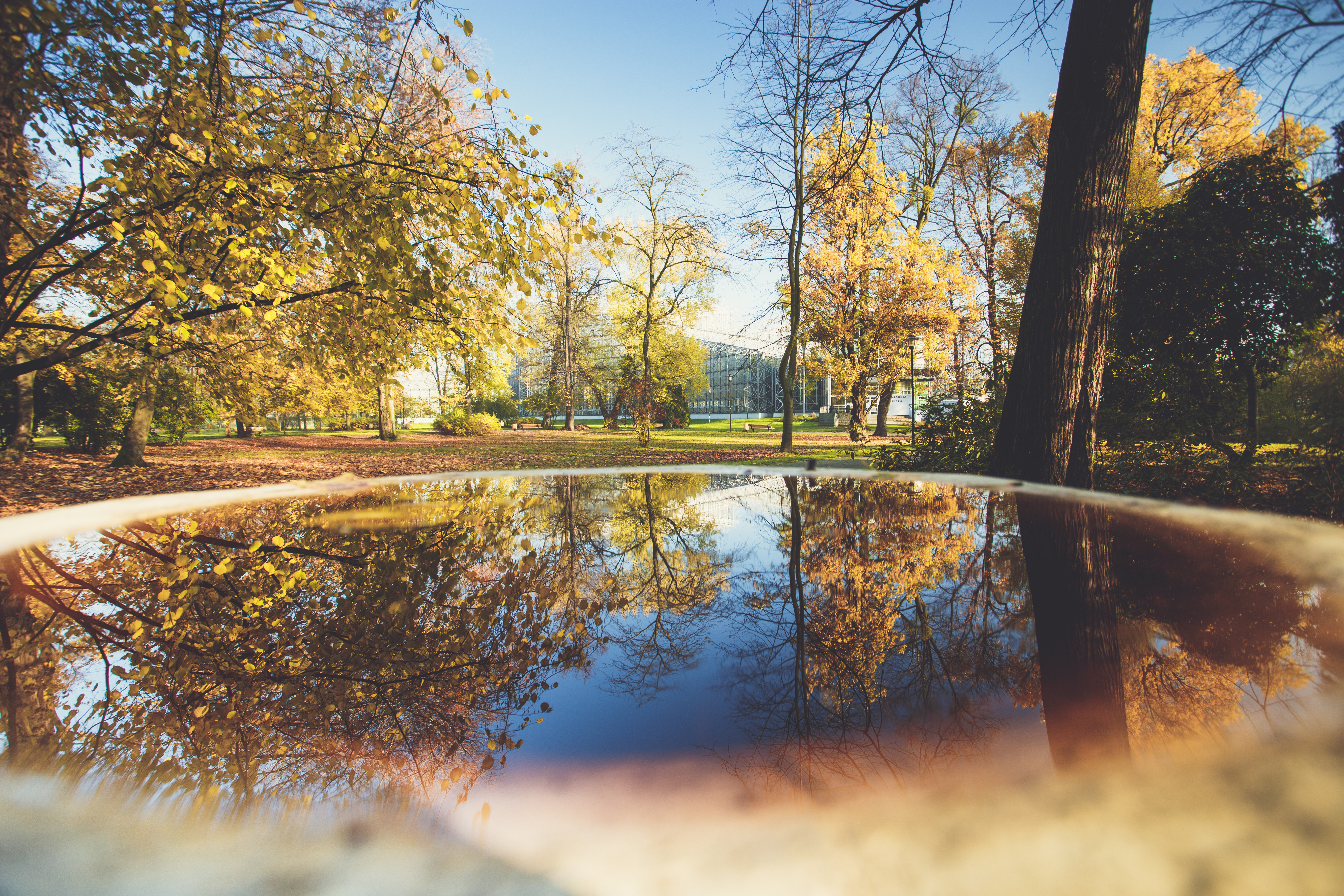 Parc de Frédéric Chopin