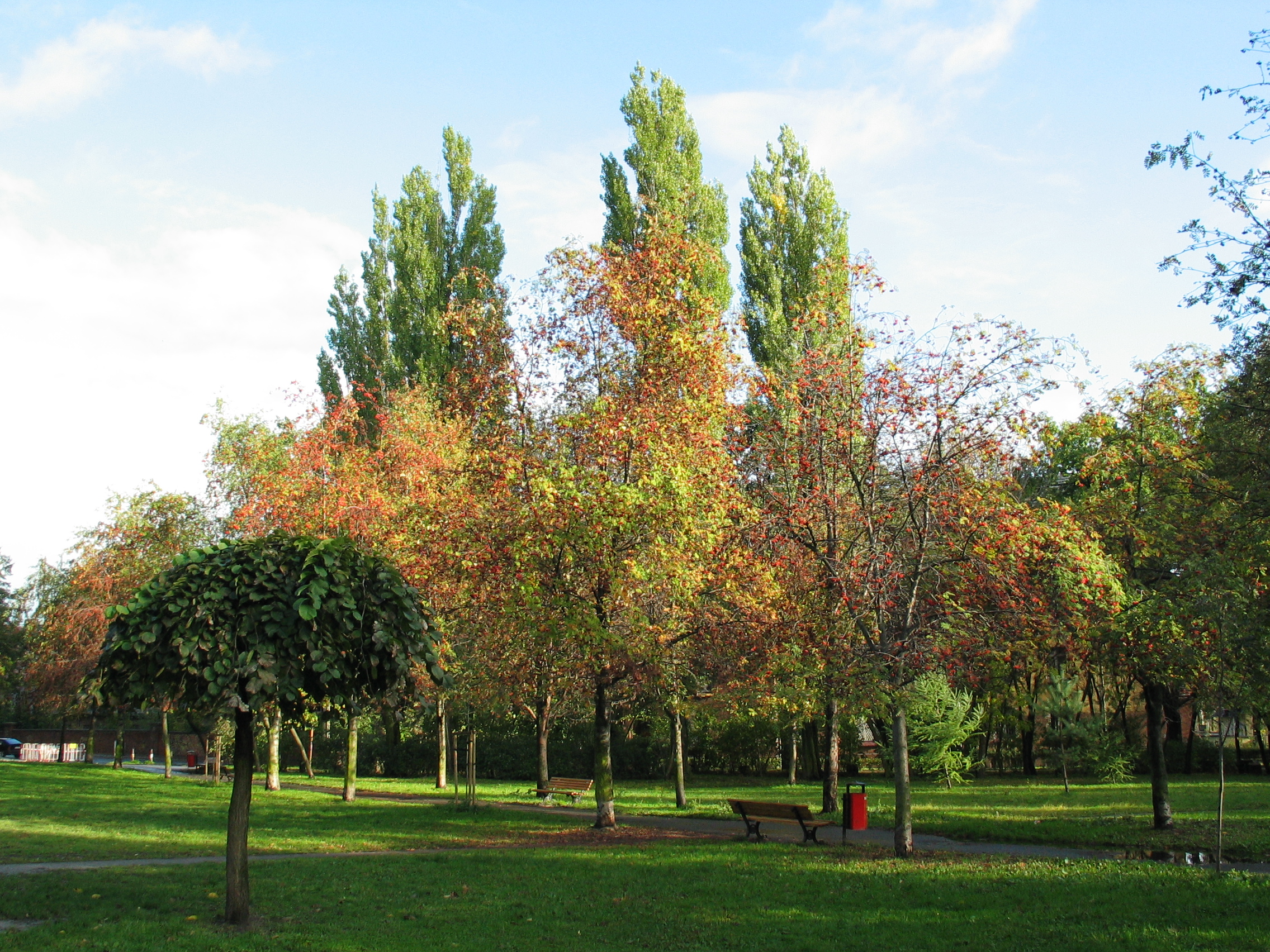 Place Grunwaldzki