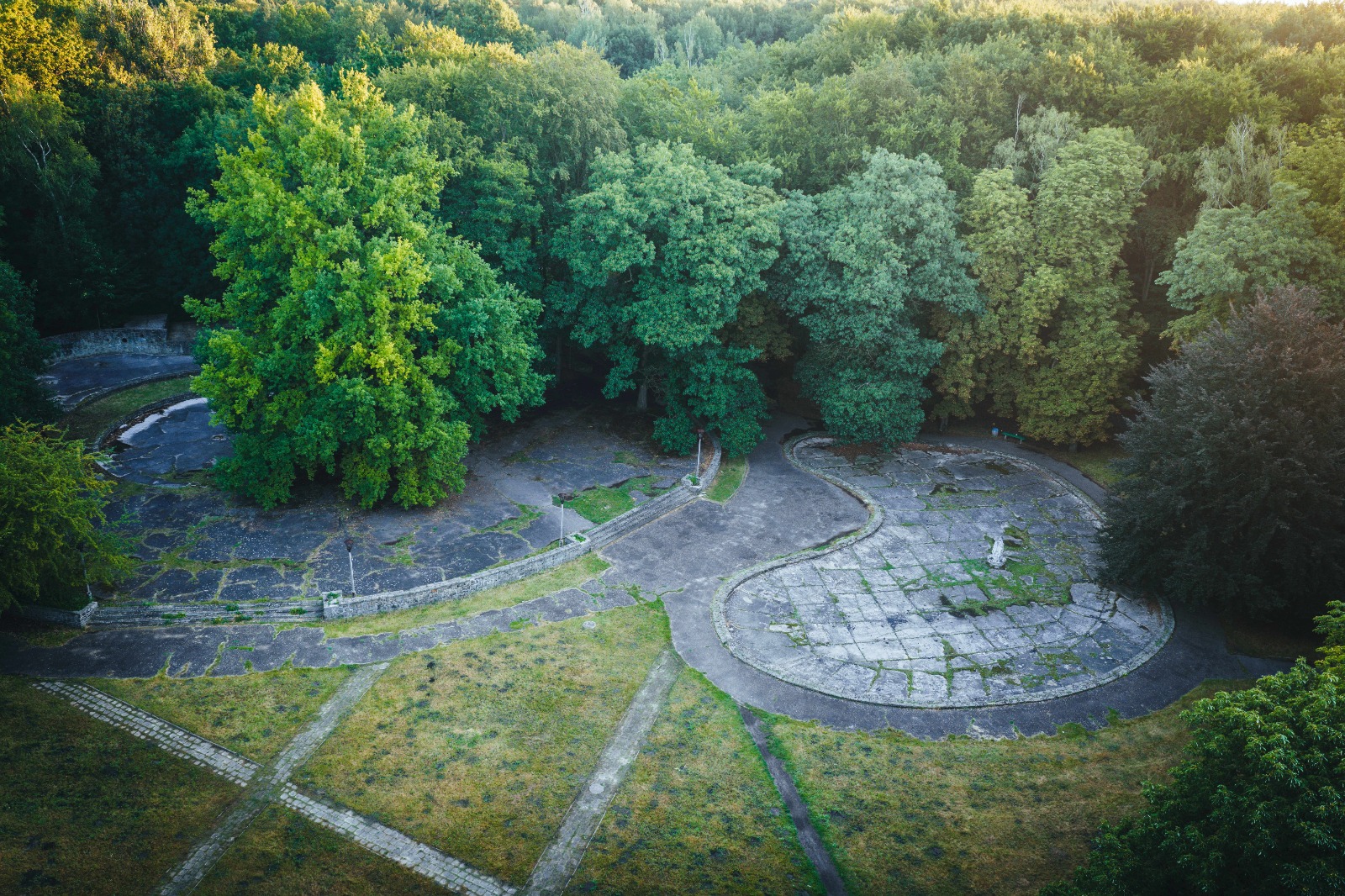 las komunalny, scena, ujęcie z góry