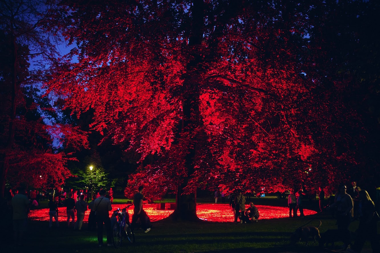 Instalacja studia Ksawery Komputery