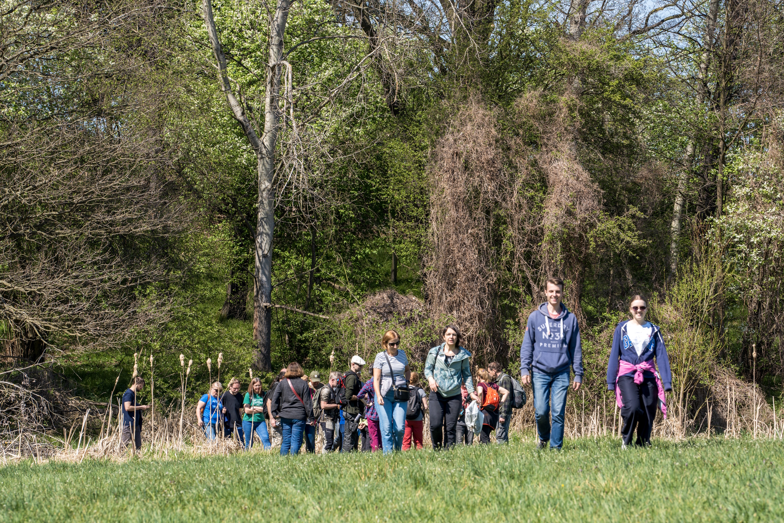 Uczestnicy spaceru maszerujący przez łąki