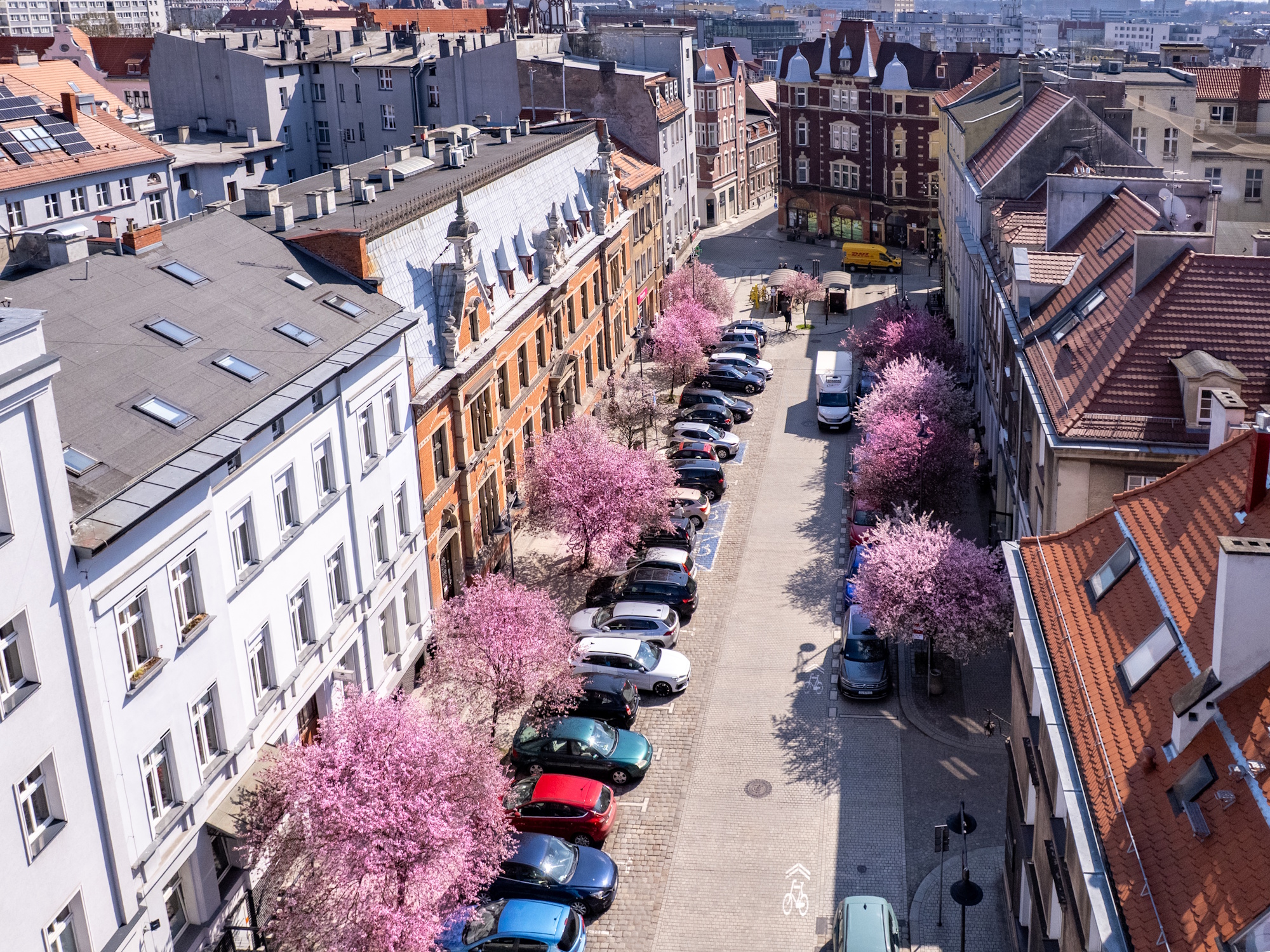 Plac Inwalidów Wojennych, ujęcie z góry, widać różowe drzewka, kamienice i samochody