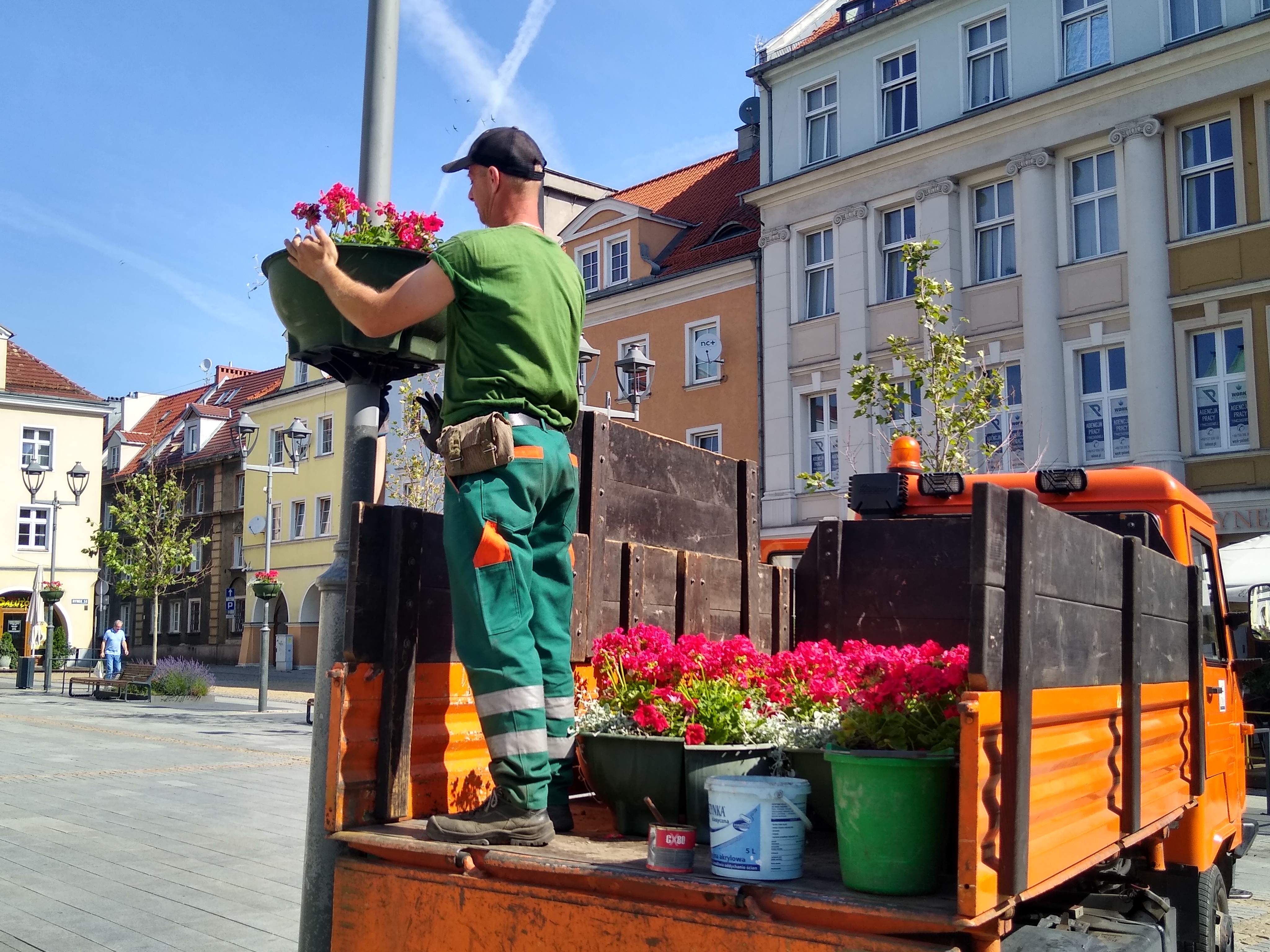 Fot. M.Foltyn/UM Gliwice pan montuje doniczkę z pelargonią