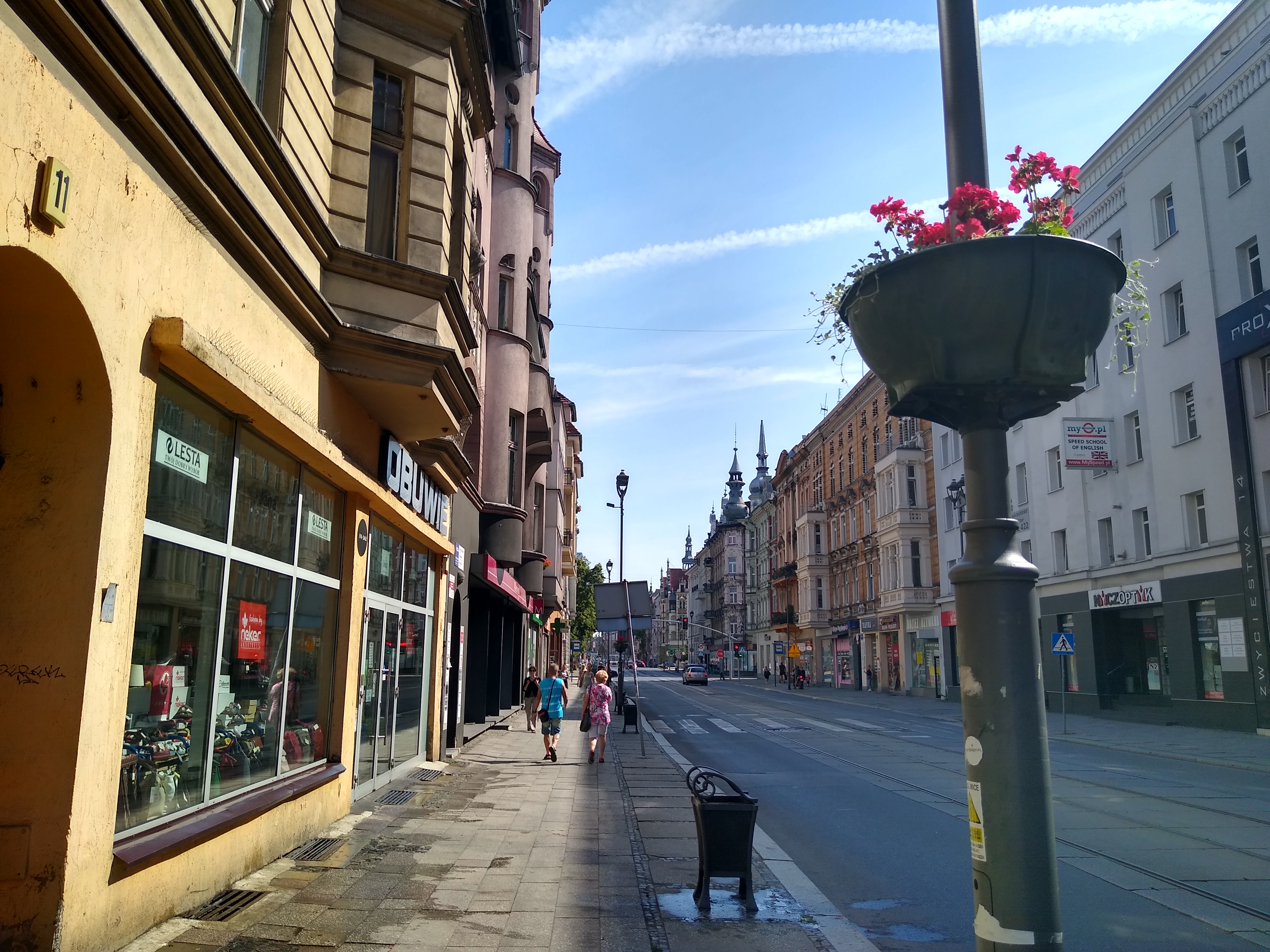 Fot. M.Foltyn/UM Gliwice pelargonie przy ul. Zwycięstwa