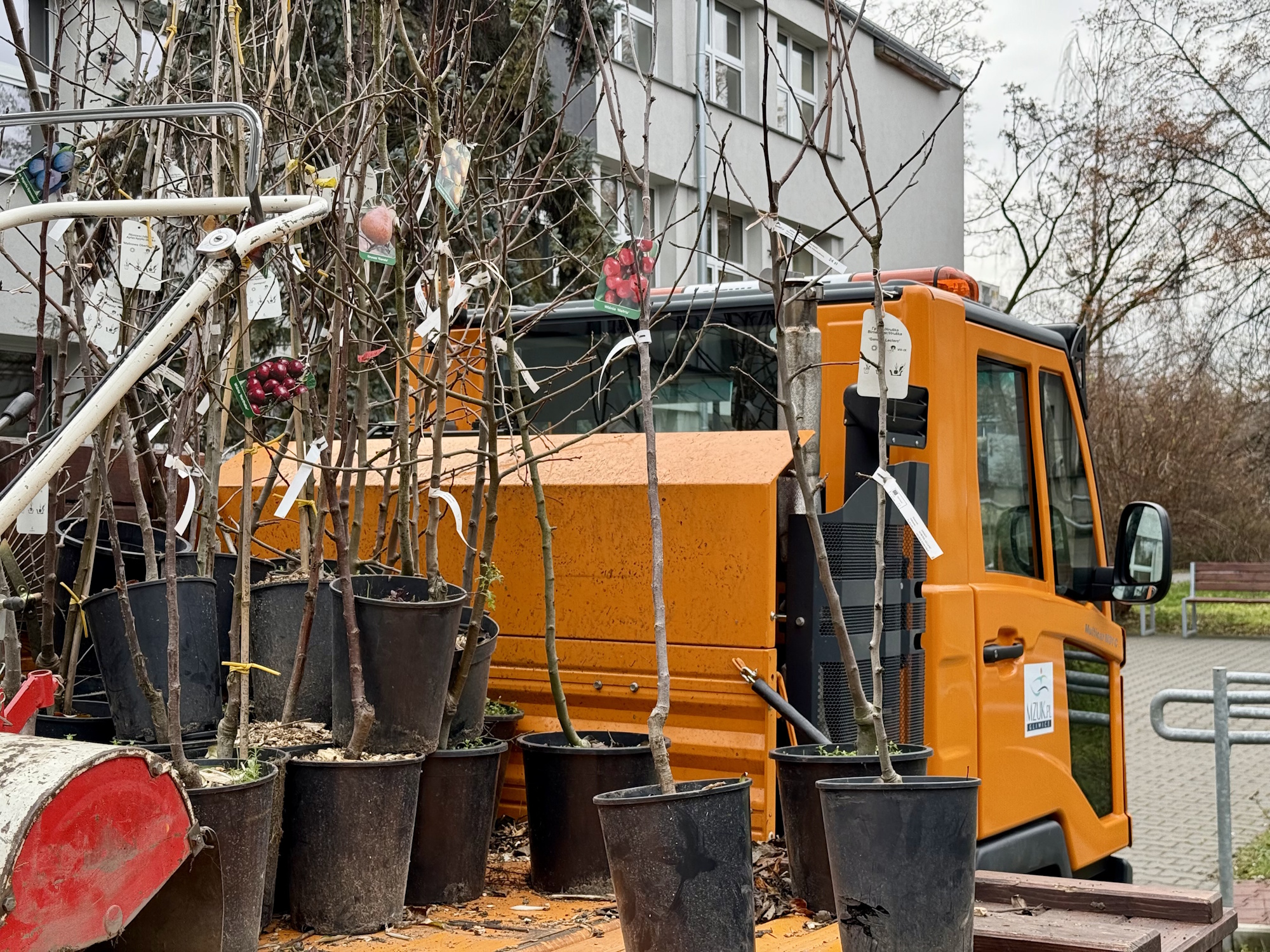 drzewka na pace pomarańczowego samochodu
