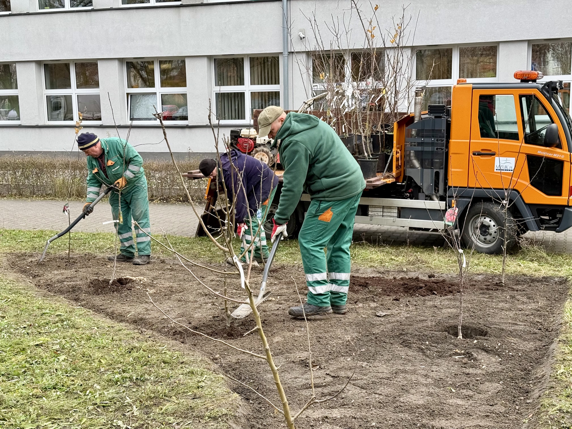 ludzie sadzący drzewa