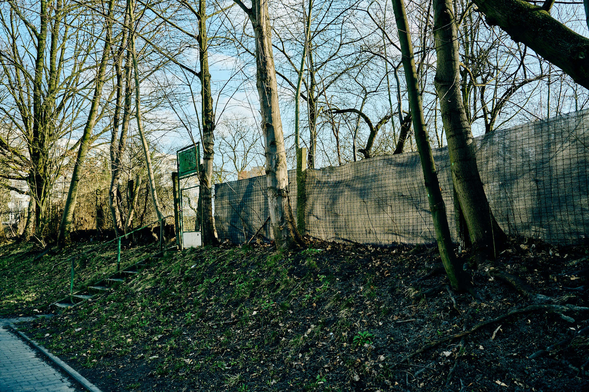 widok z góry na kompleks ogródków działkowych między ul. Kochanowskiego i ul. Bajana