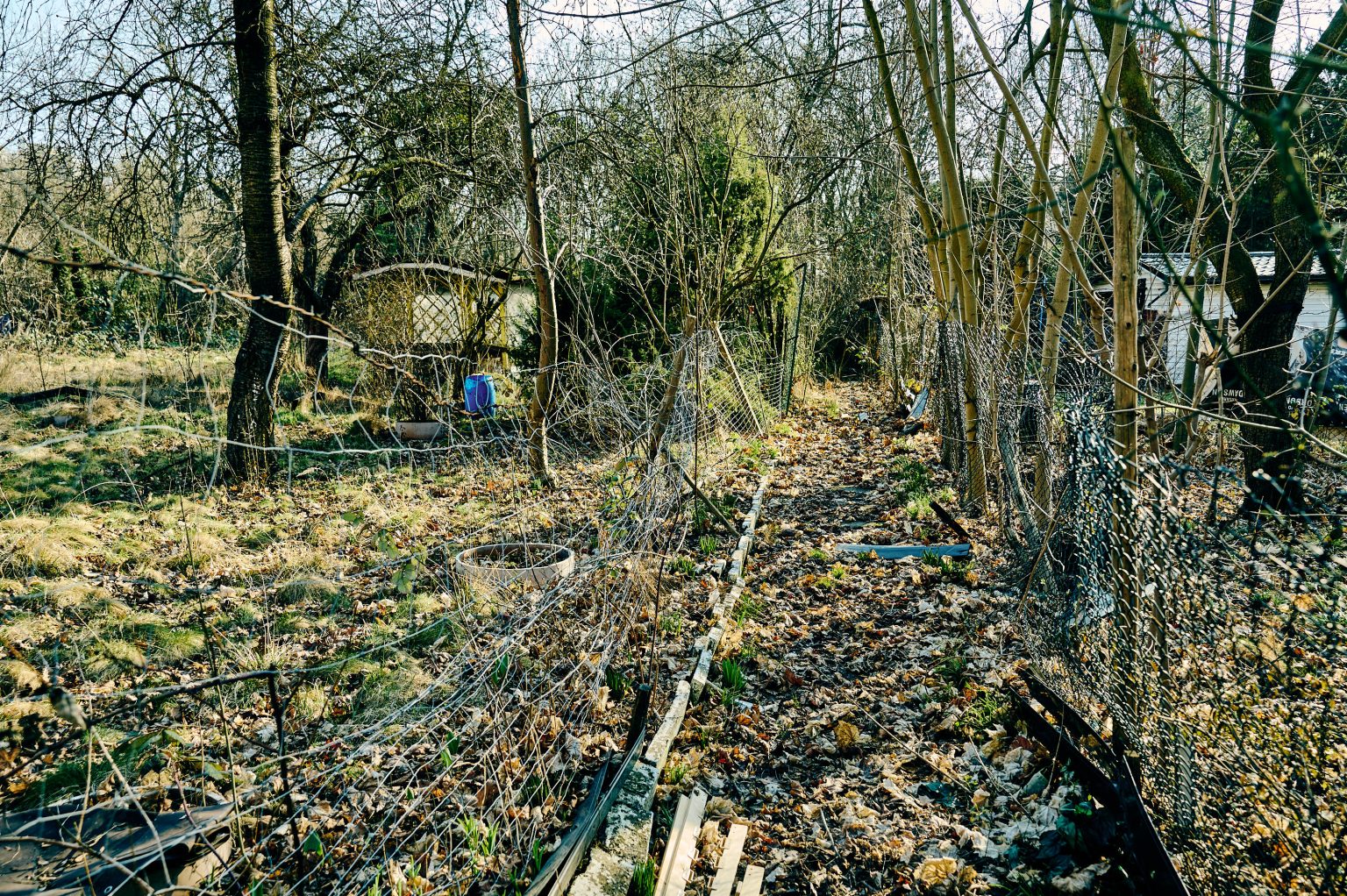 ogródki działkowe 