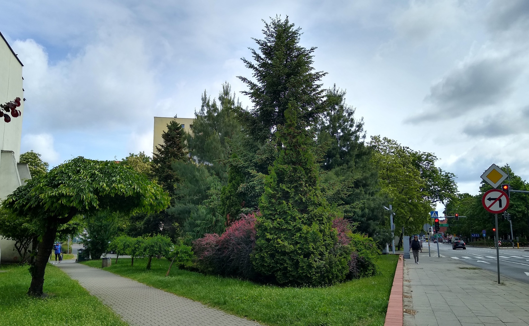 zielony skwer u zbiegu ul. Wrocławskiej i Dunikowskiego