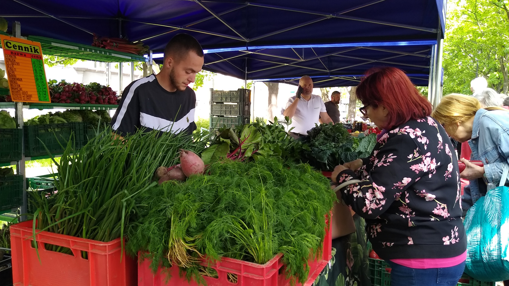 Targ na Zielonym znów zaprasza. Produkty od lokalnych rolników i gospodarzy dziś na placu Krakowskim 