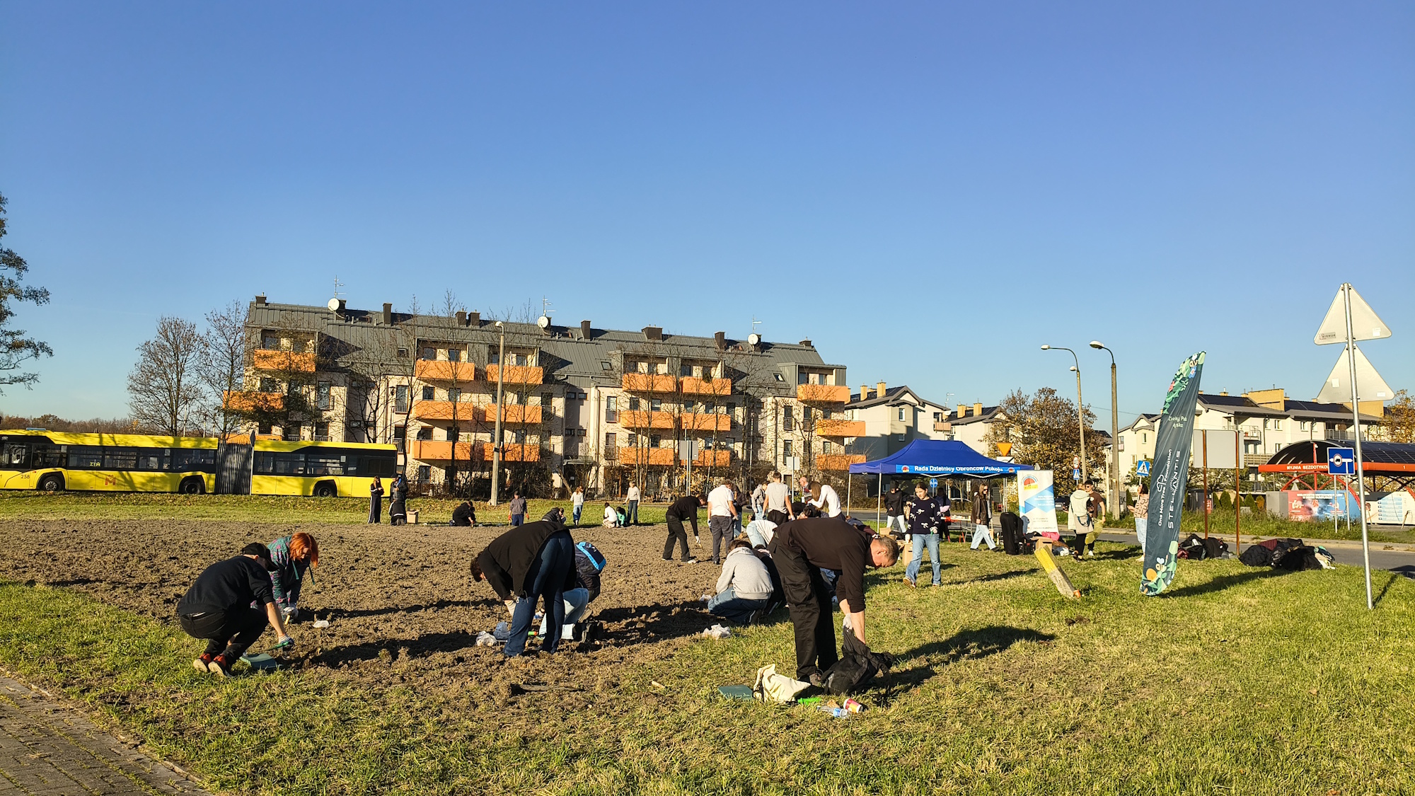ludzie na polu sadzą cebule kwiatowe