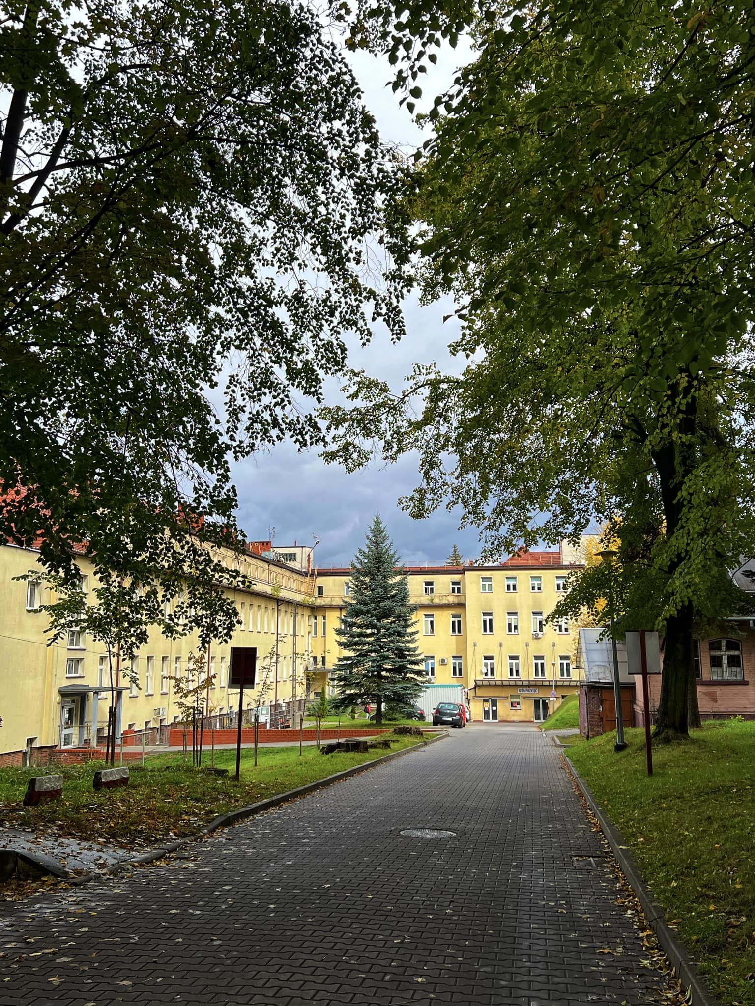 budynek, drzewa