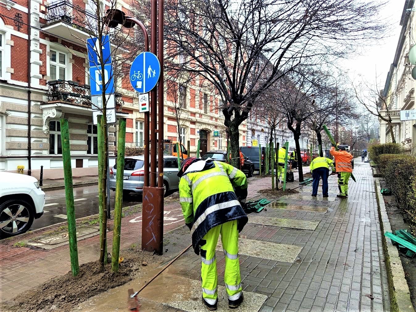 Ludzie w zielonych kombinezonach sadzą drzewa