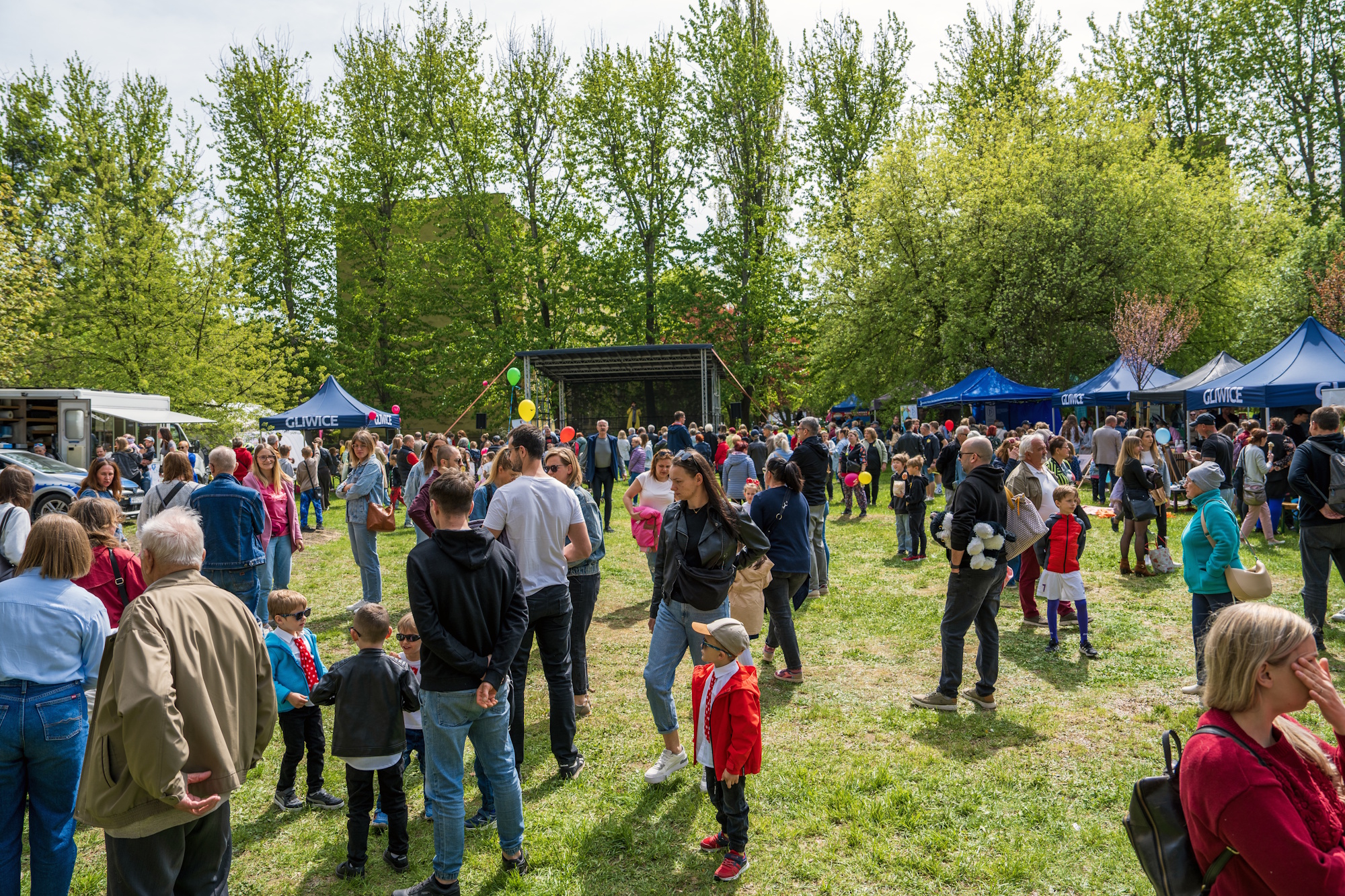 Dużo ludzi na trawniku podczas festynu