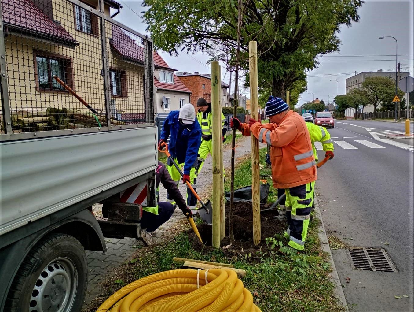 robotnicy sadzą drzewa w pasie drogowym