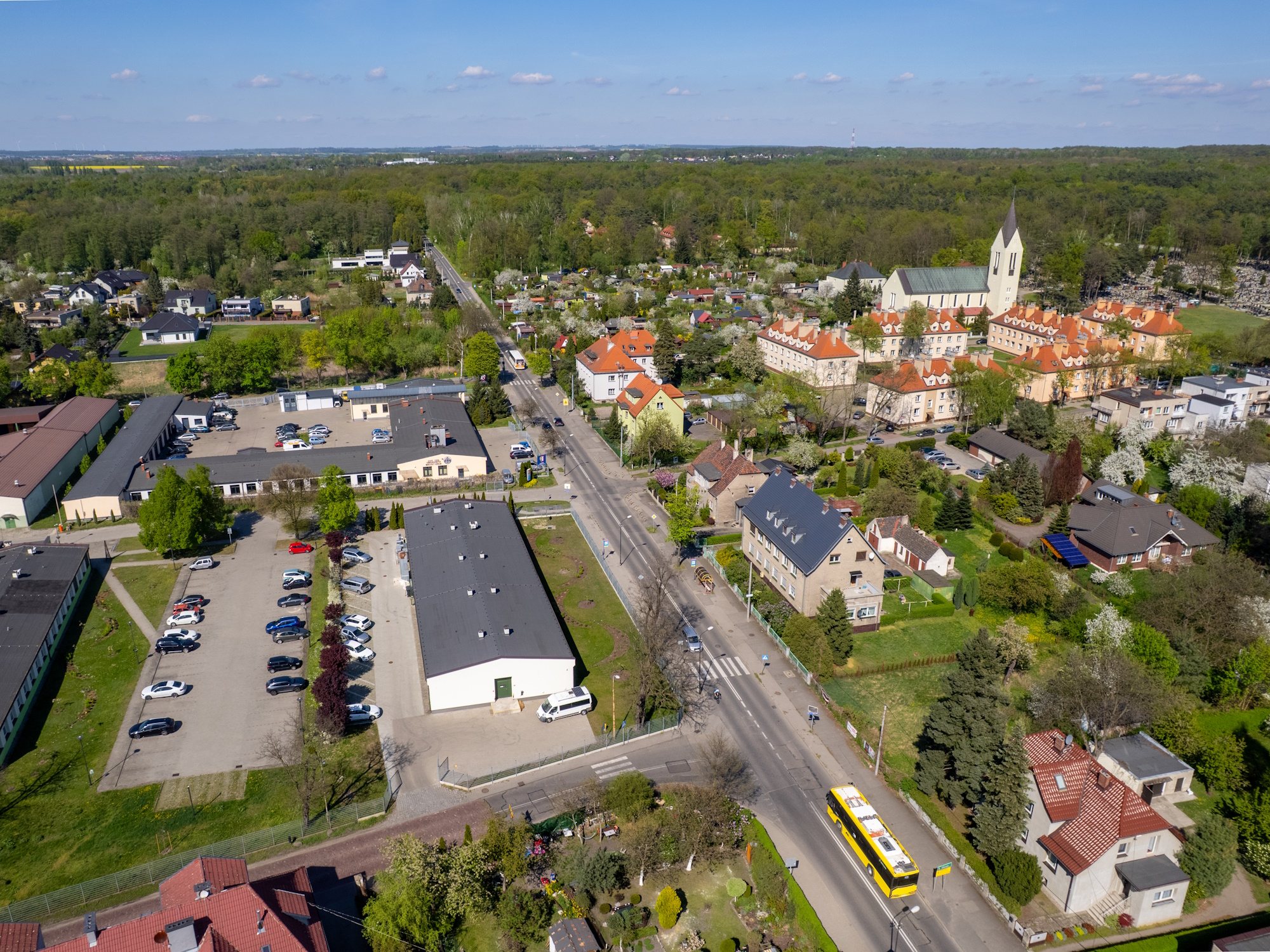 ulica, zieleń