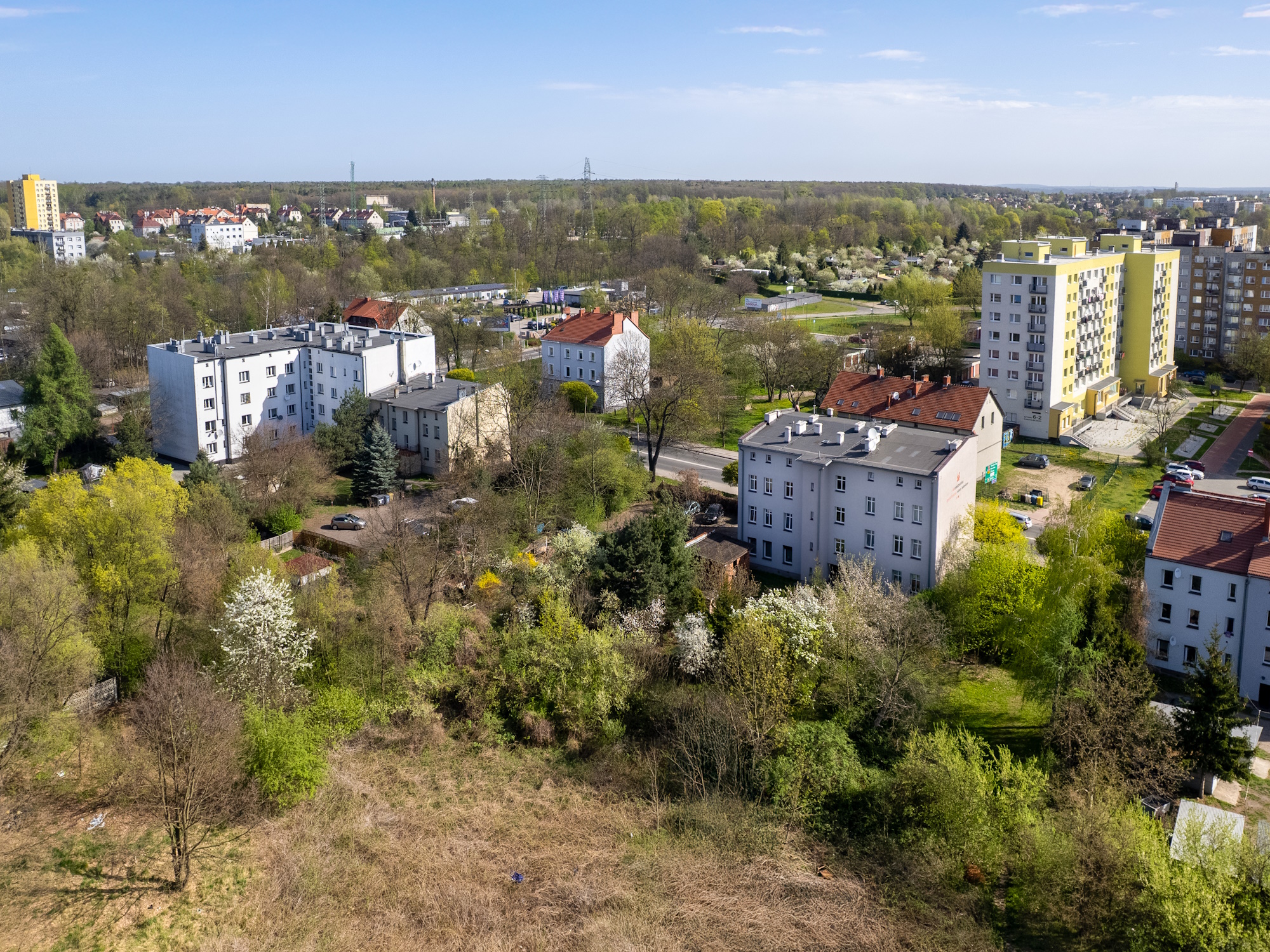 budynki, trawa, drzewa