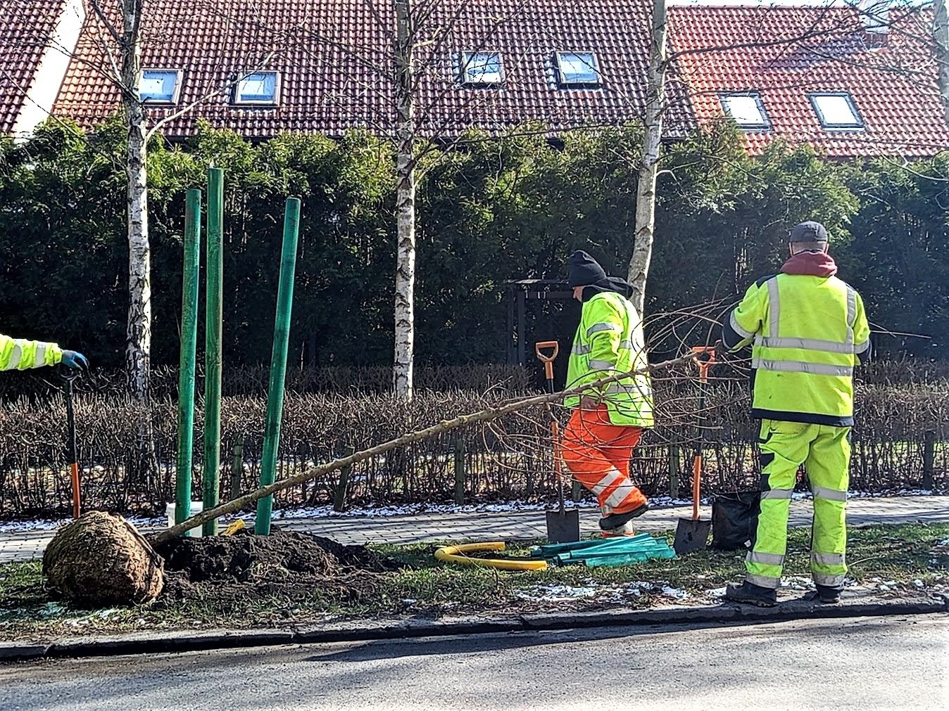 ludzie przy drzewie. Dwóch w zielonych ubrankach, jeden  pomarańczowym