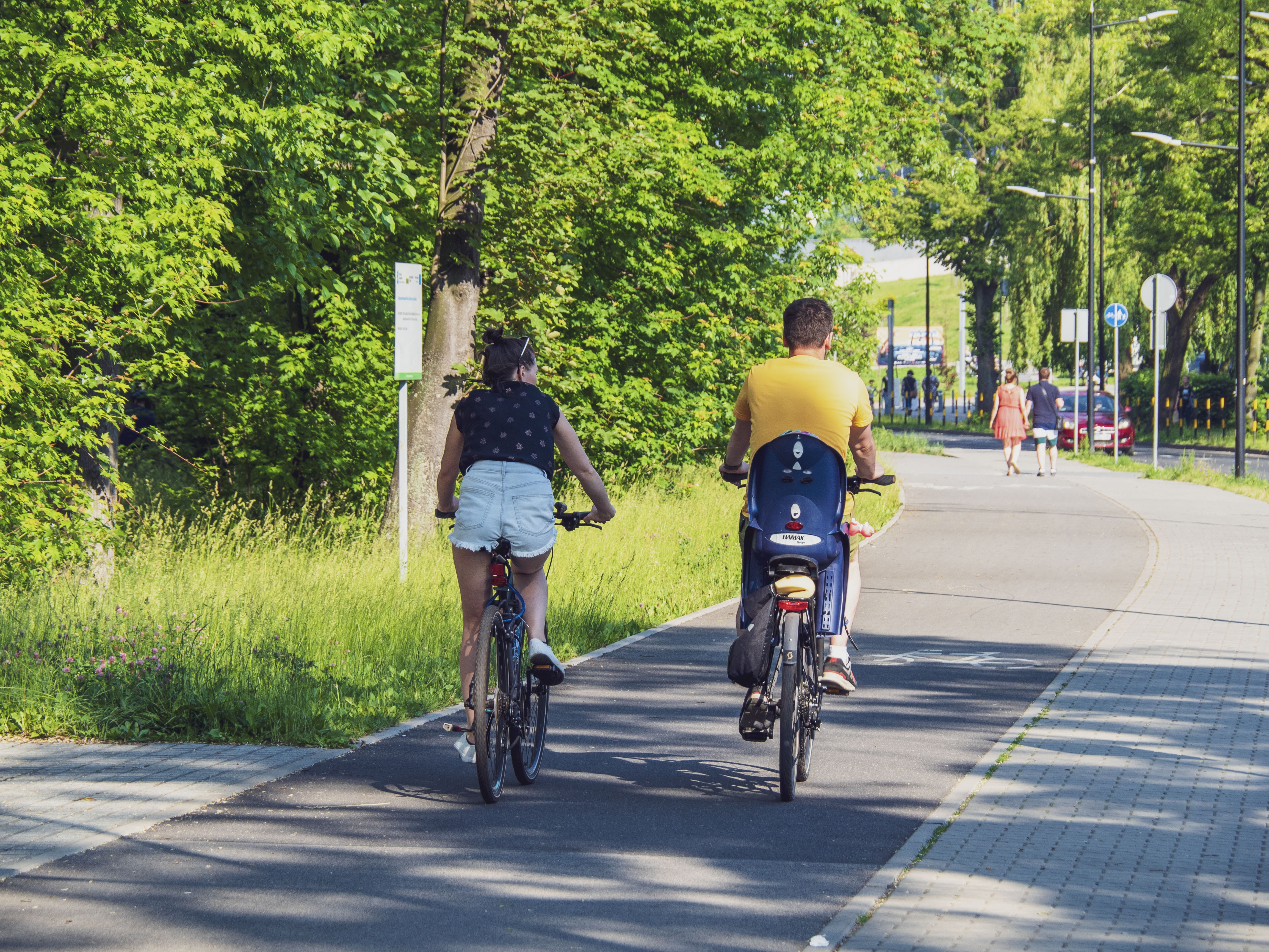 rowerzyści na ścieżce rowerowej wzdłuż drzew