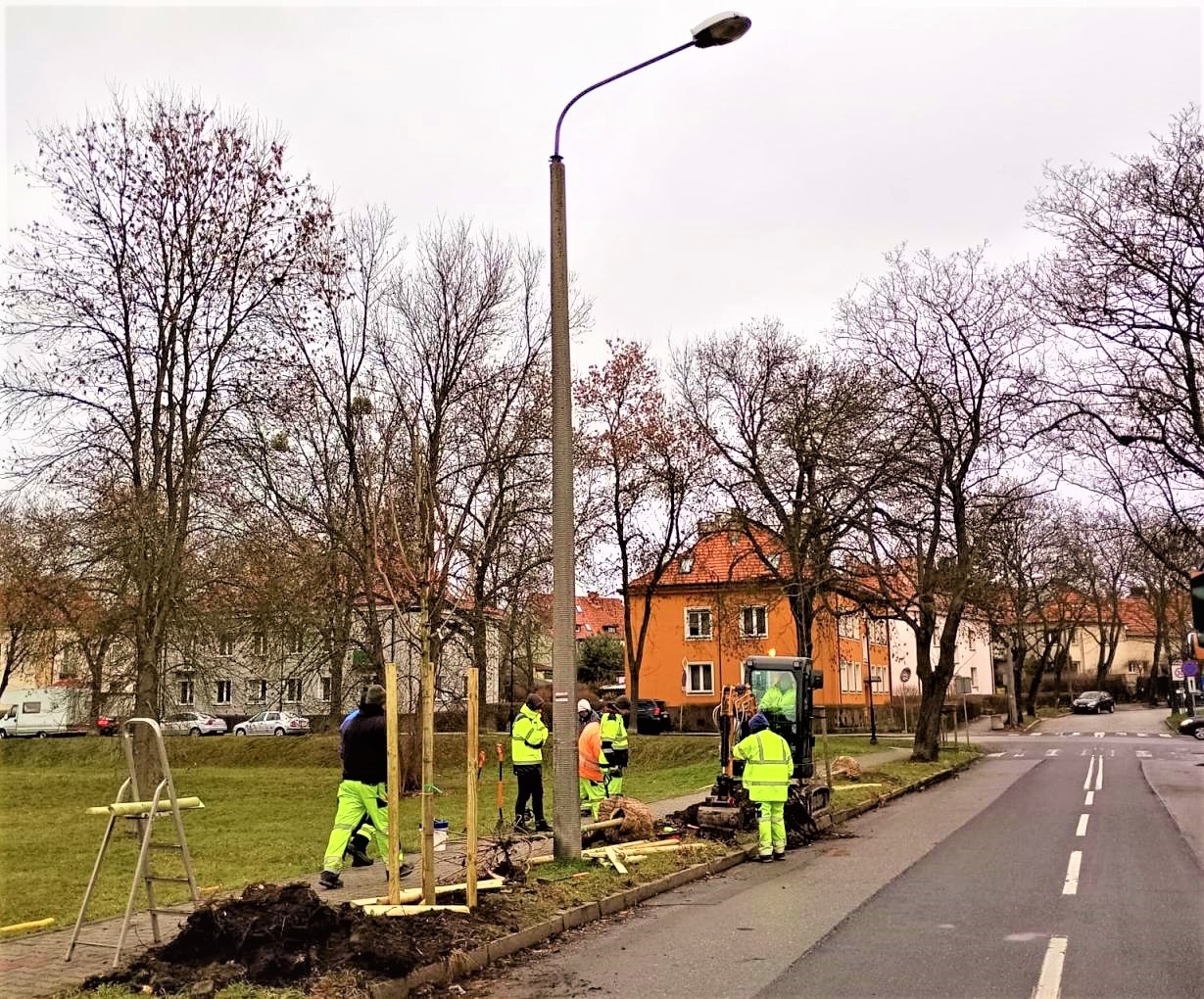 pracownicy zieleni nasadzają drzewa 