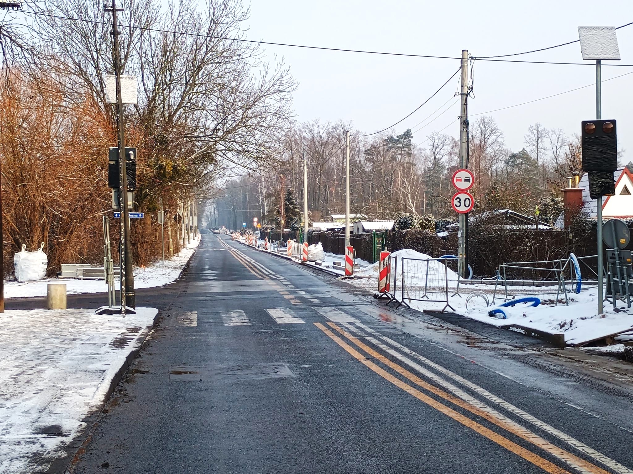 ulica, asfalt, drzewa