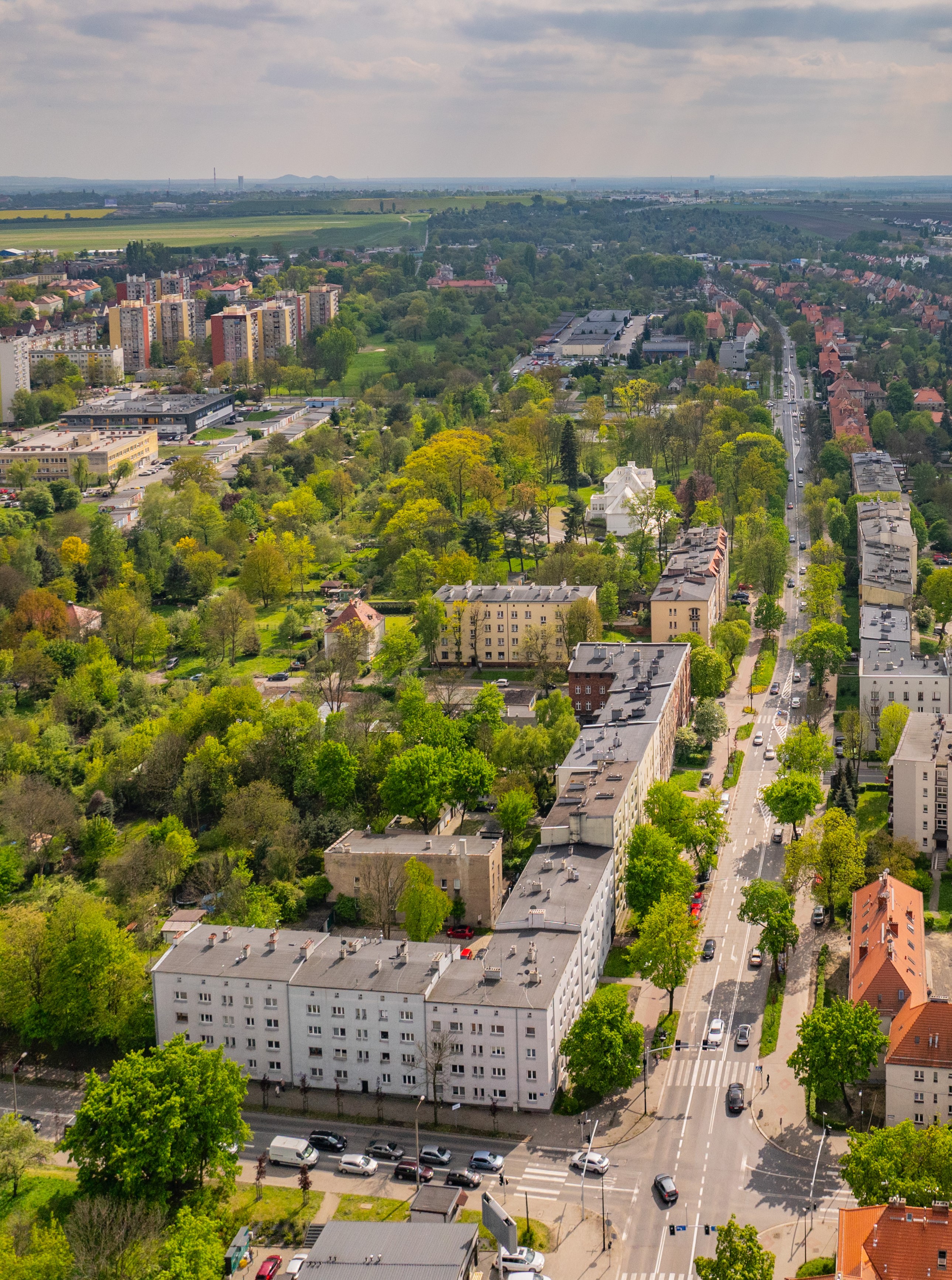 Ogródki działkowe są potrzebne – plan alei do weryfikacji