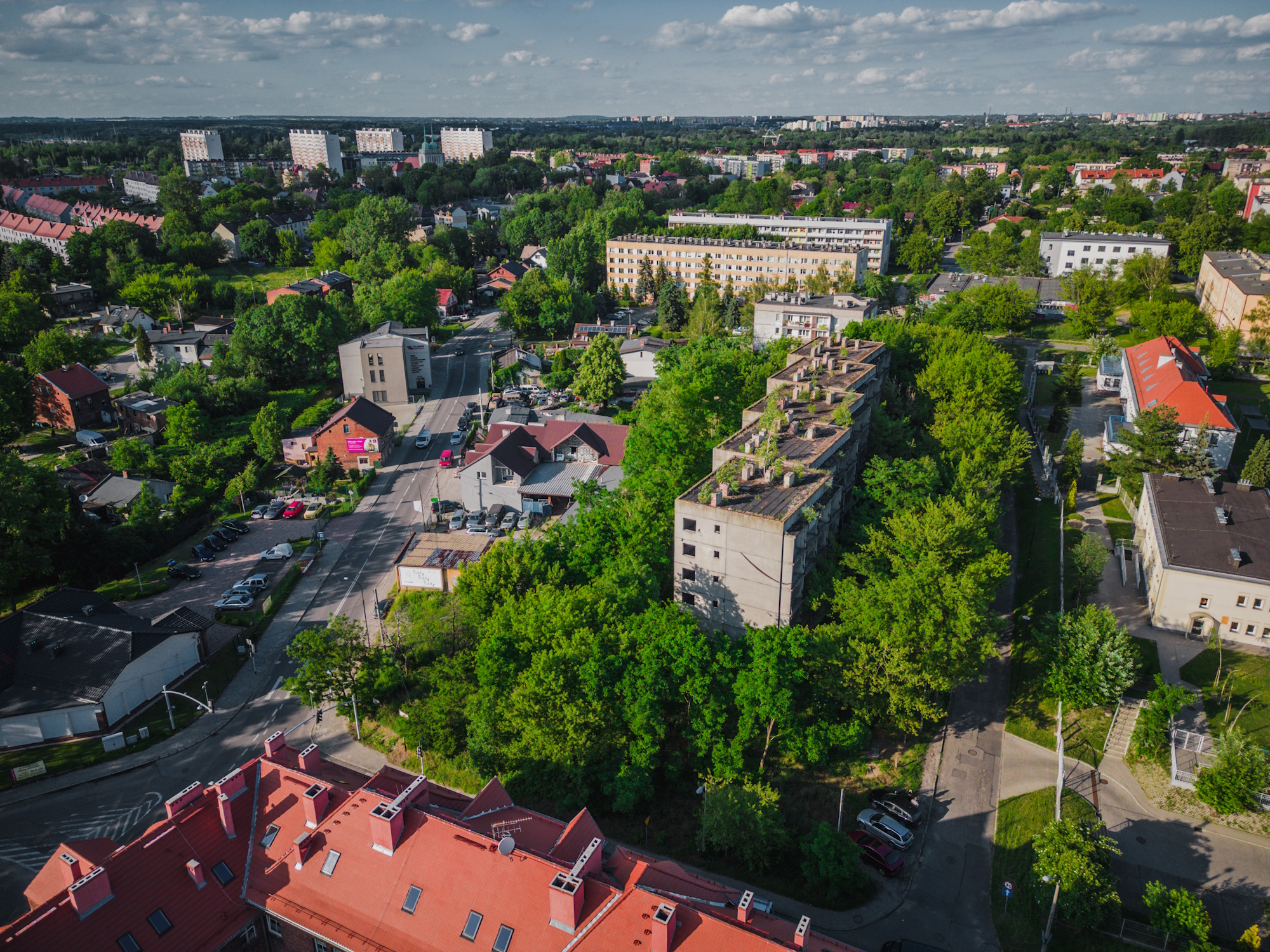 Sośnica z lotu ptaka