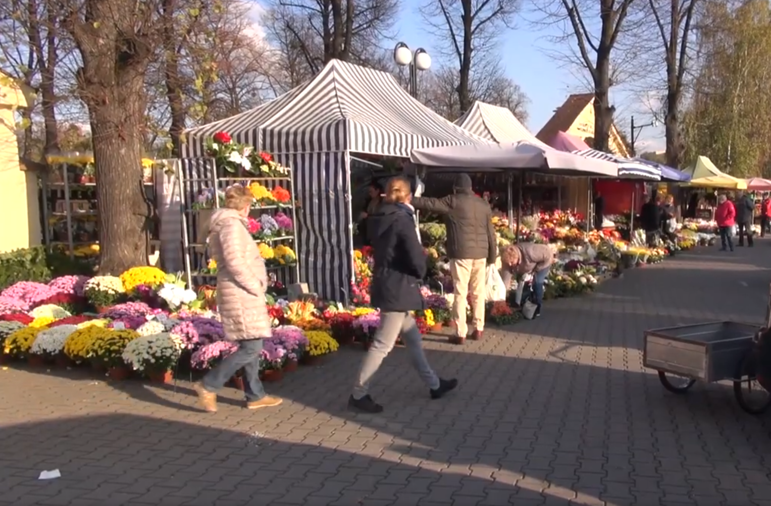 Wszystkich Świętych tuż-tuż. O czym pamiętać?