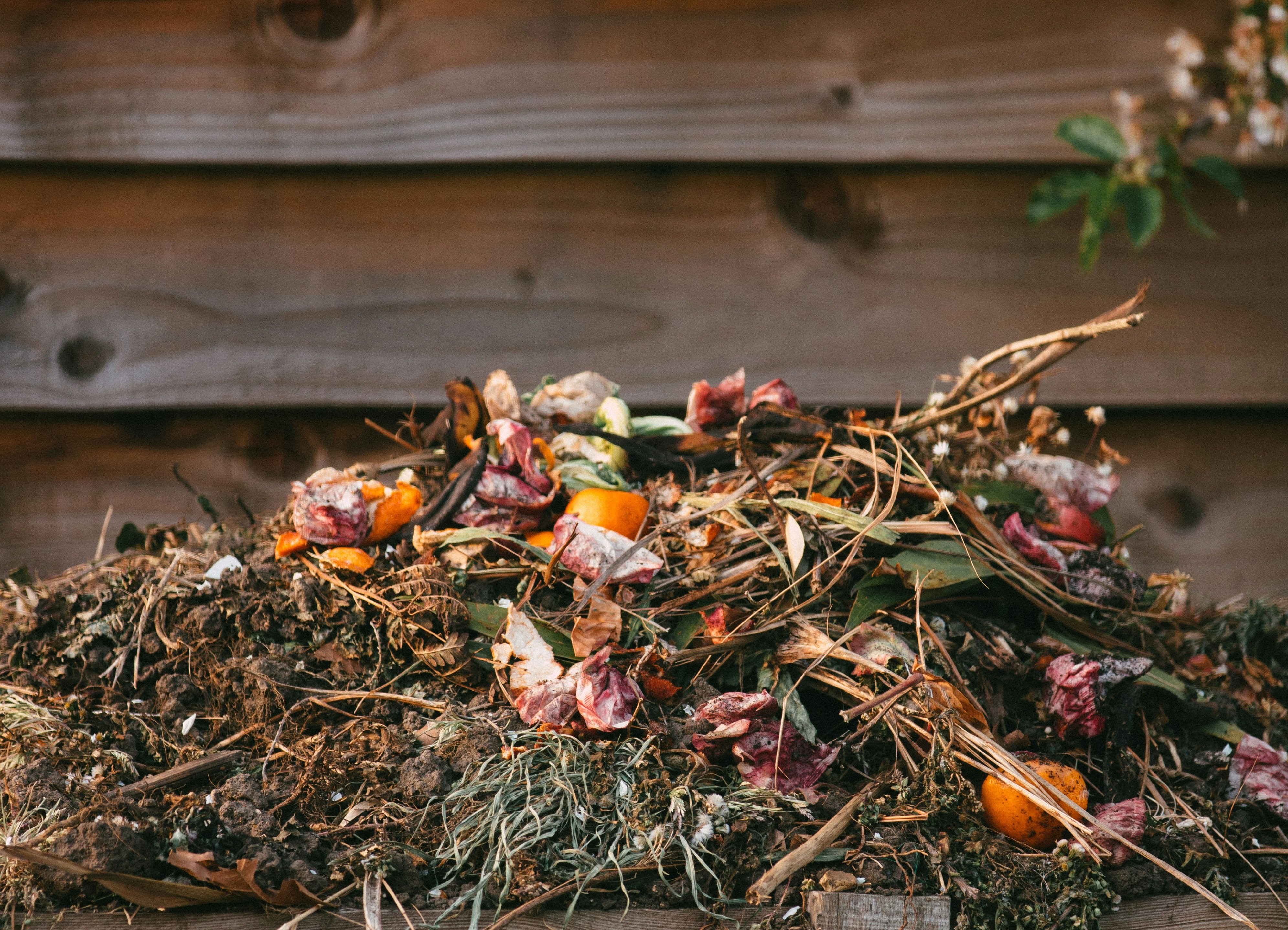 liście, ogryzki, trawy