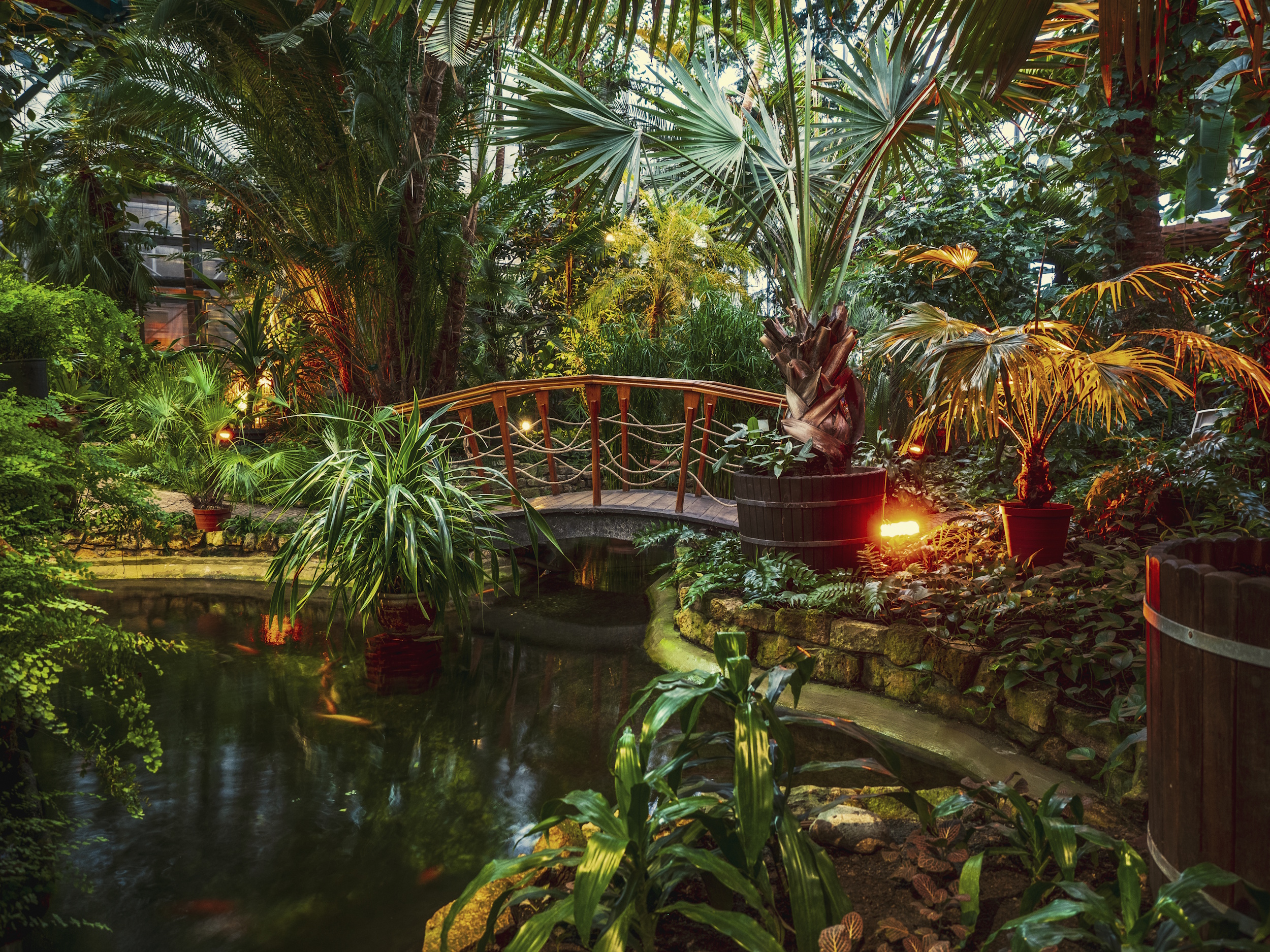 Palmiarnia Miejska wewnątrz