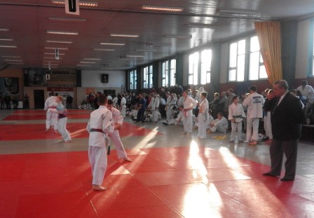 judo