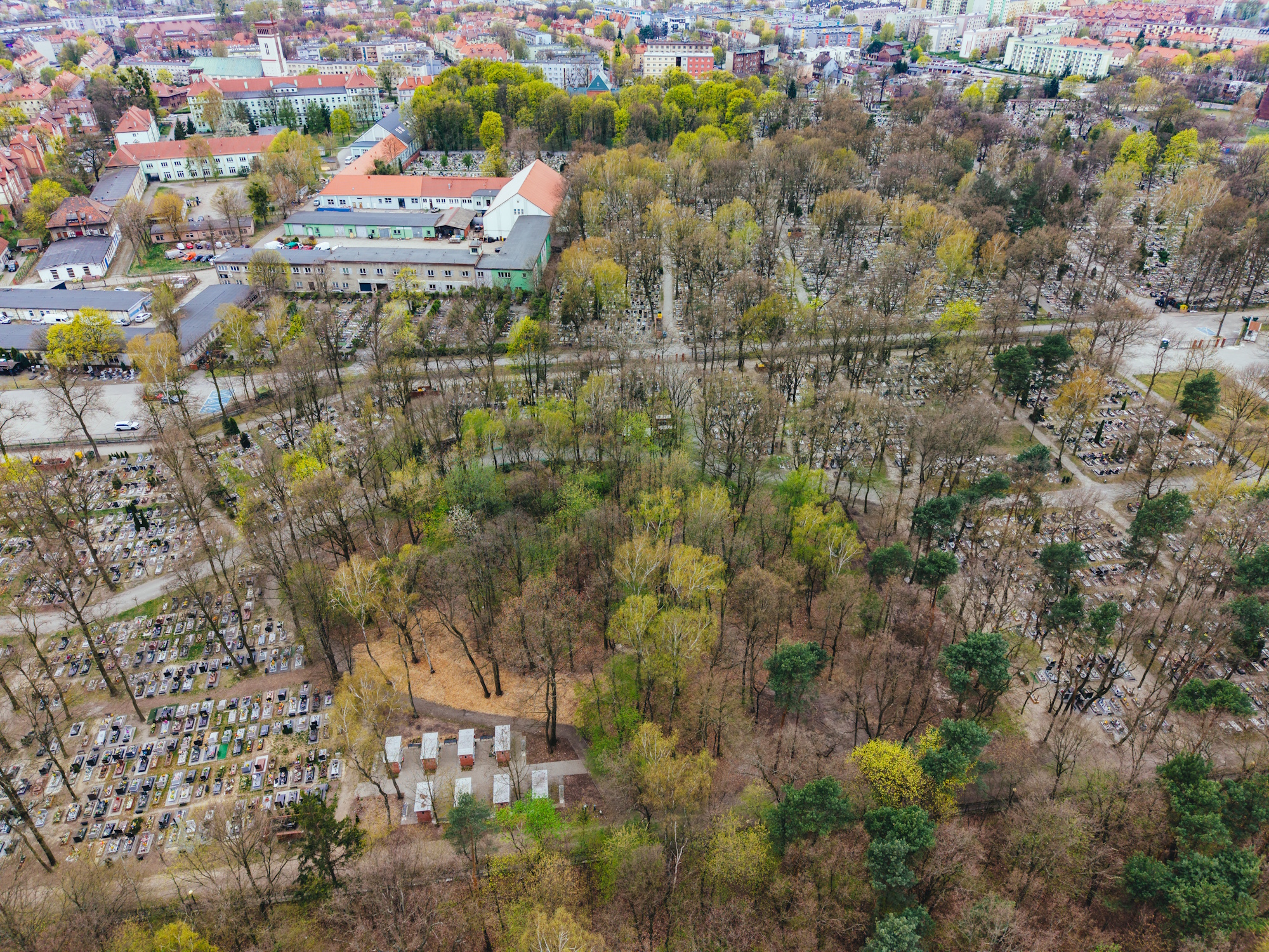 Pierwsze w Gliwicach, wyjątkowe miejsce pochówków łączące szacunek dla pamięci z ideą bliskości natury znajdzie się w części B („nowej”) Cmentarza Lipowego – na zielonym terenie za środkowym wejściem, w sąsiedztwie kolumbariów