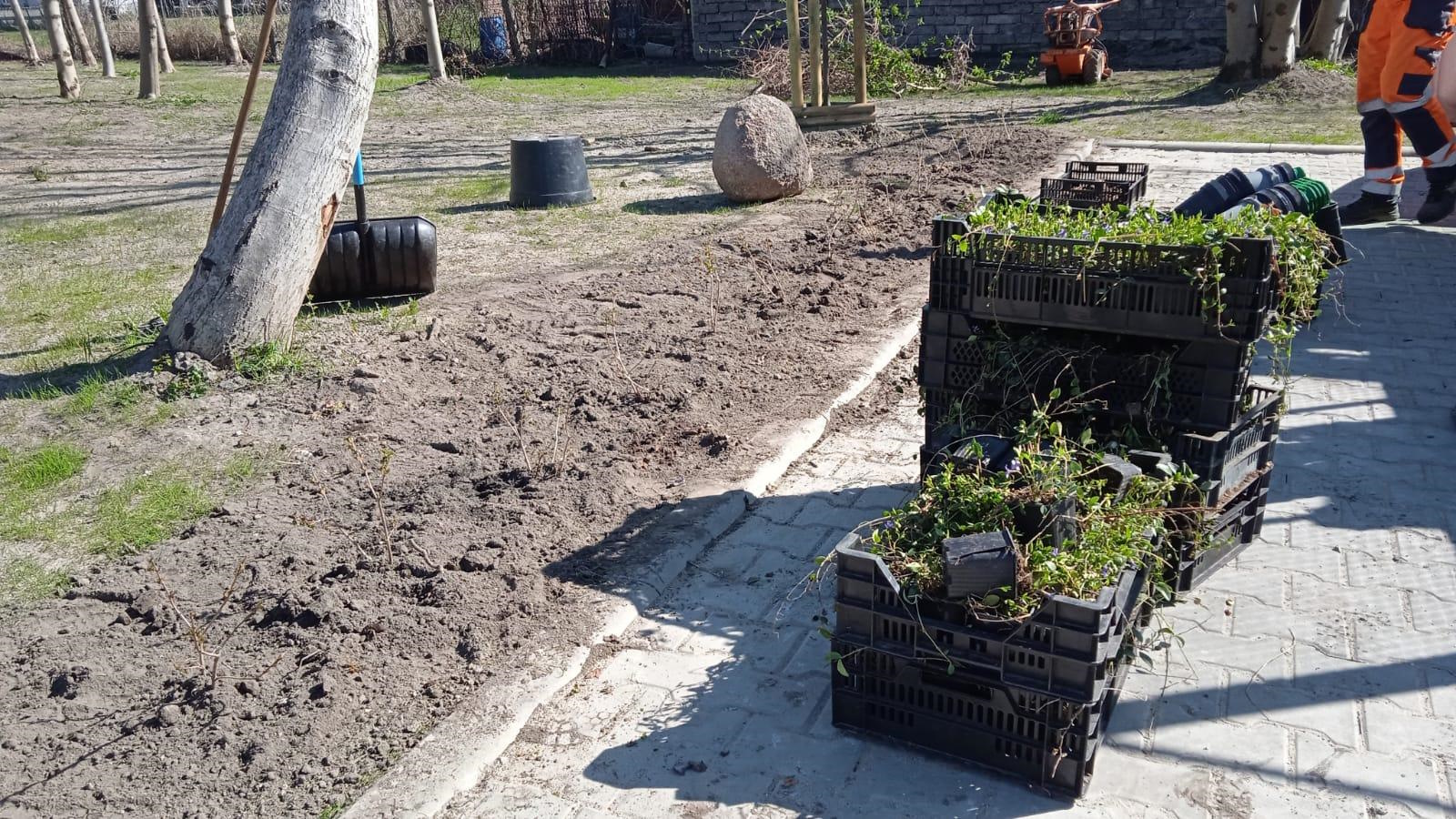 plastikowe pudełka z roślinami stoją na ziemi