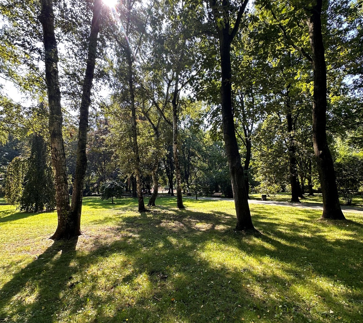 zdjęcie placu Grunwaldzkiego