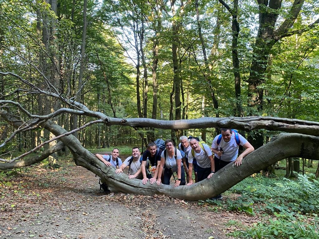 Grupa osób z plecakami na plecach na szlaku górskim, przy zwalonym drzewie, w tle zielony liściasty las.