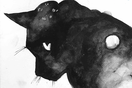 Głowa czarnego kota namalowana akwarelami